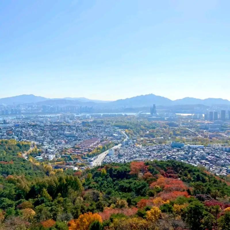 크루톡 이미지