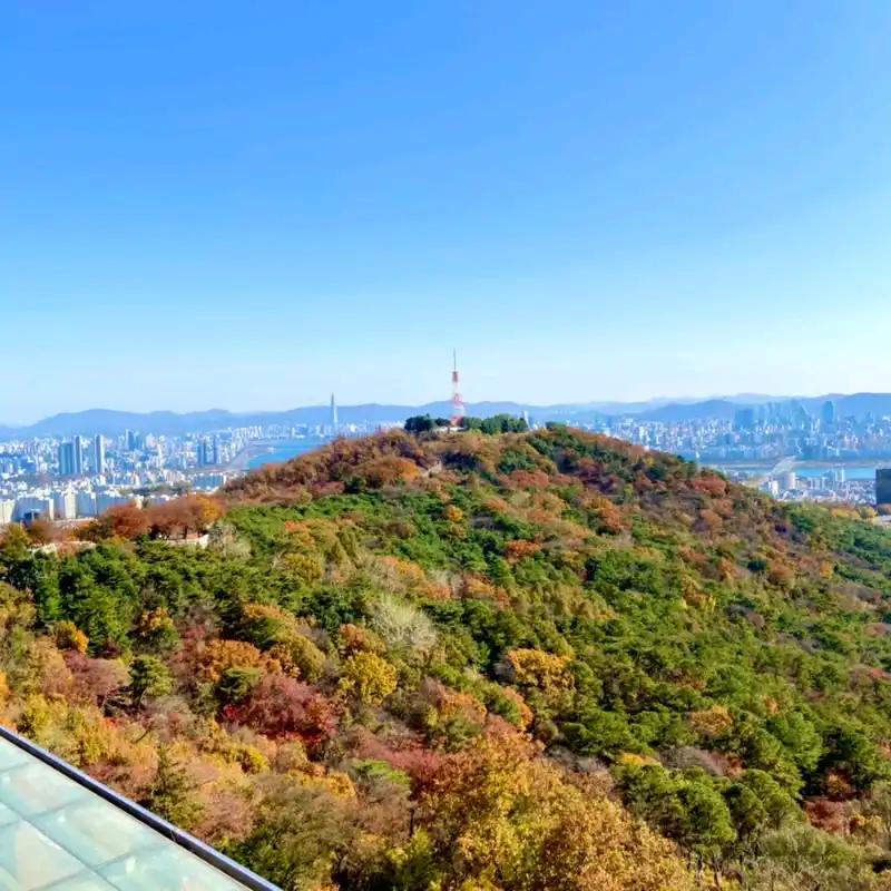 크루톡 이미지 2