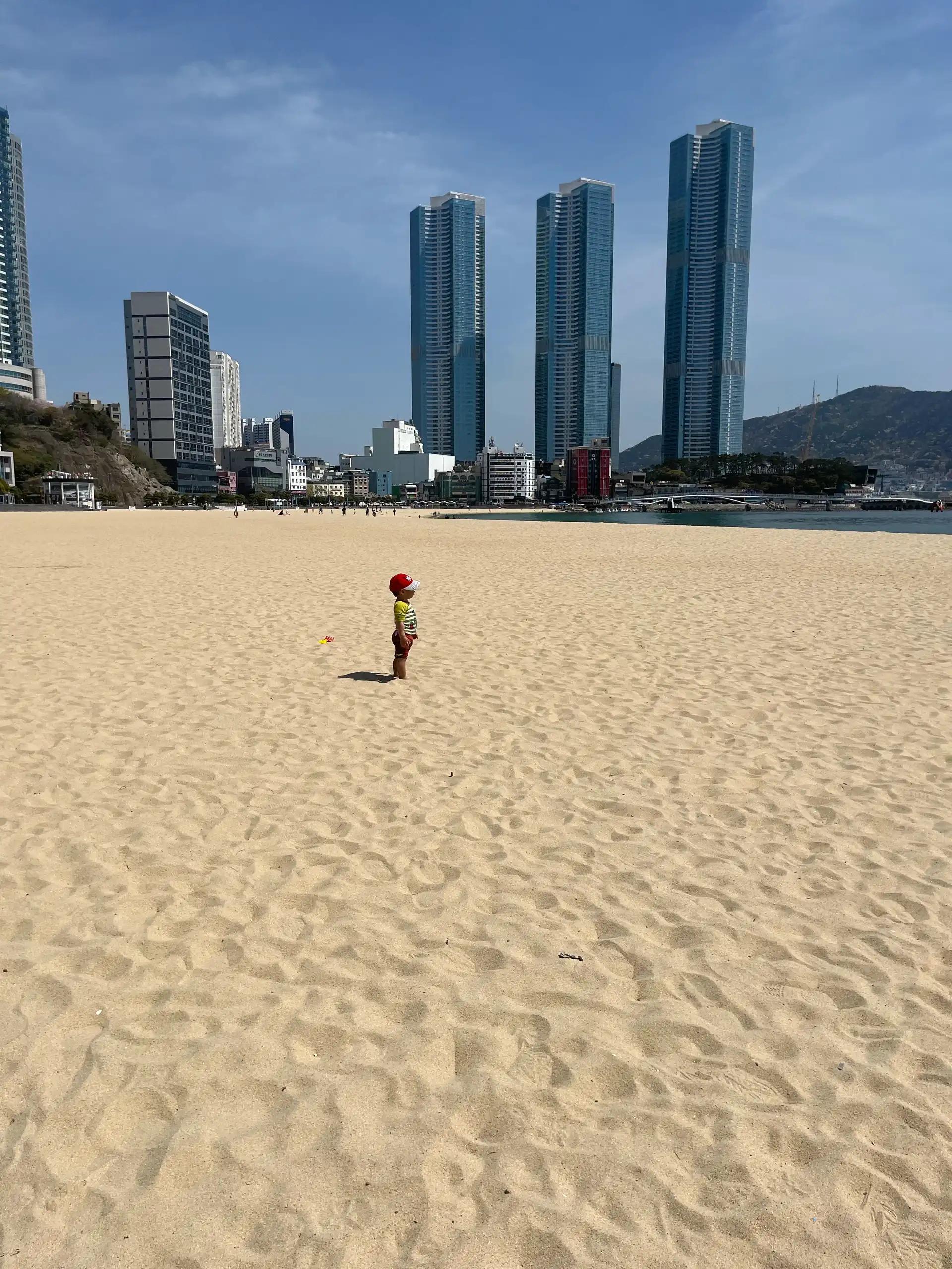 크루톡 이미지