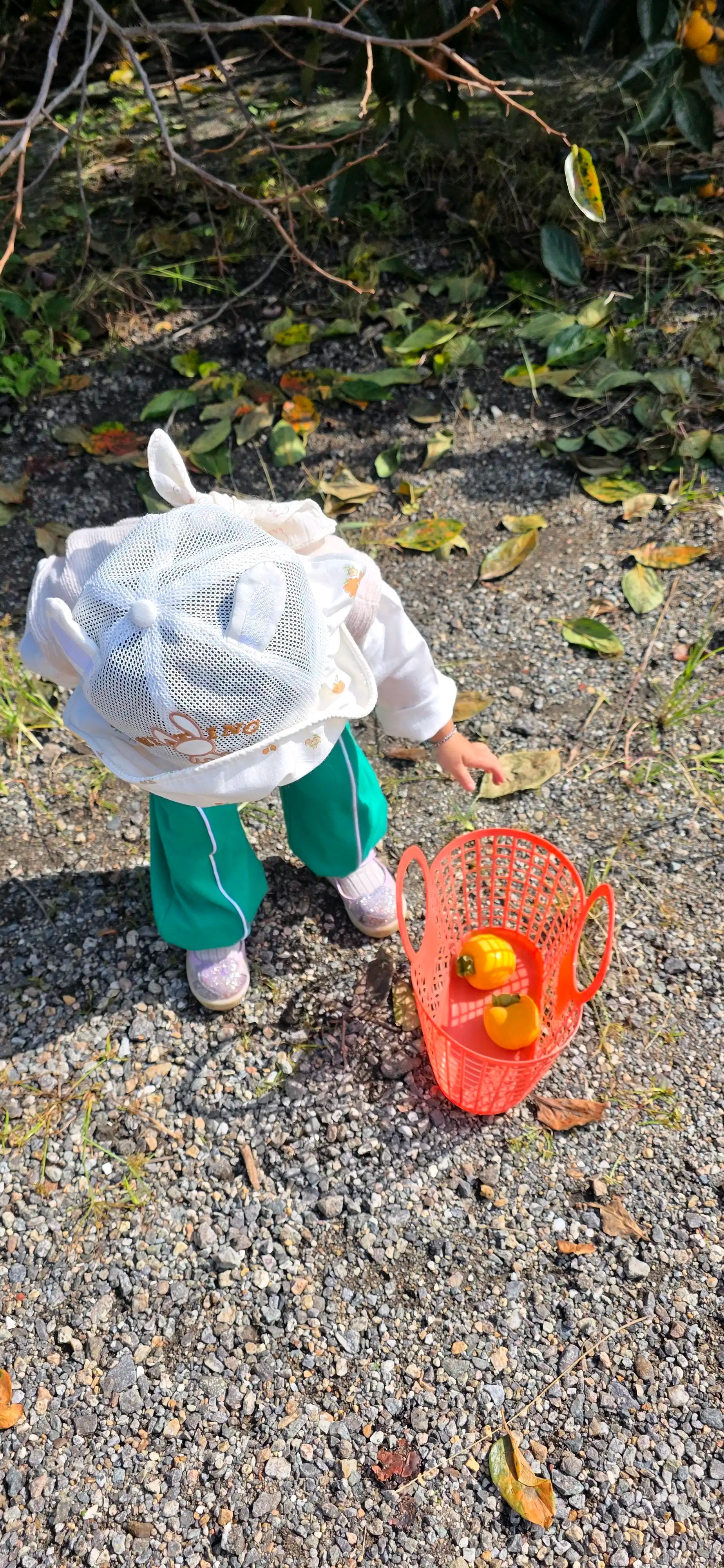 크루톡 이미지