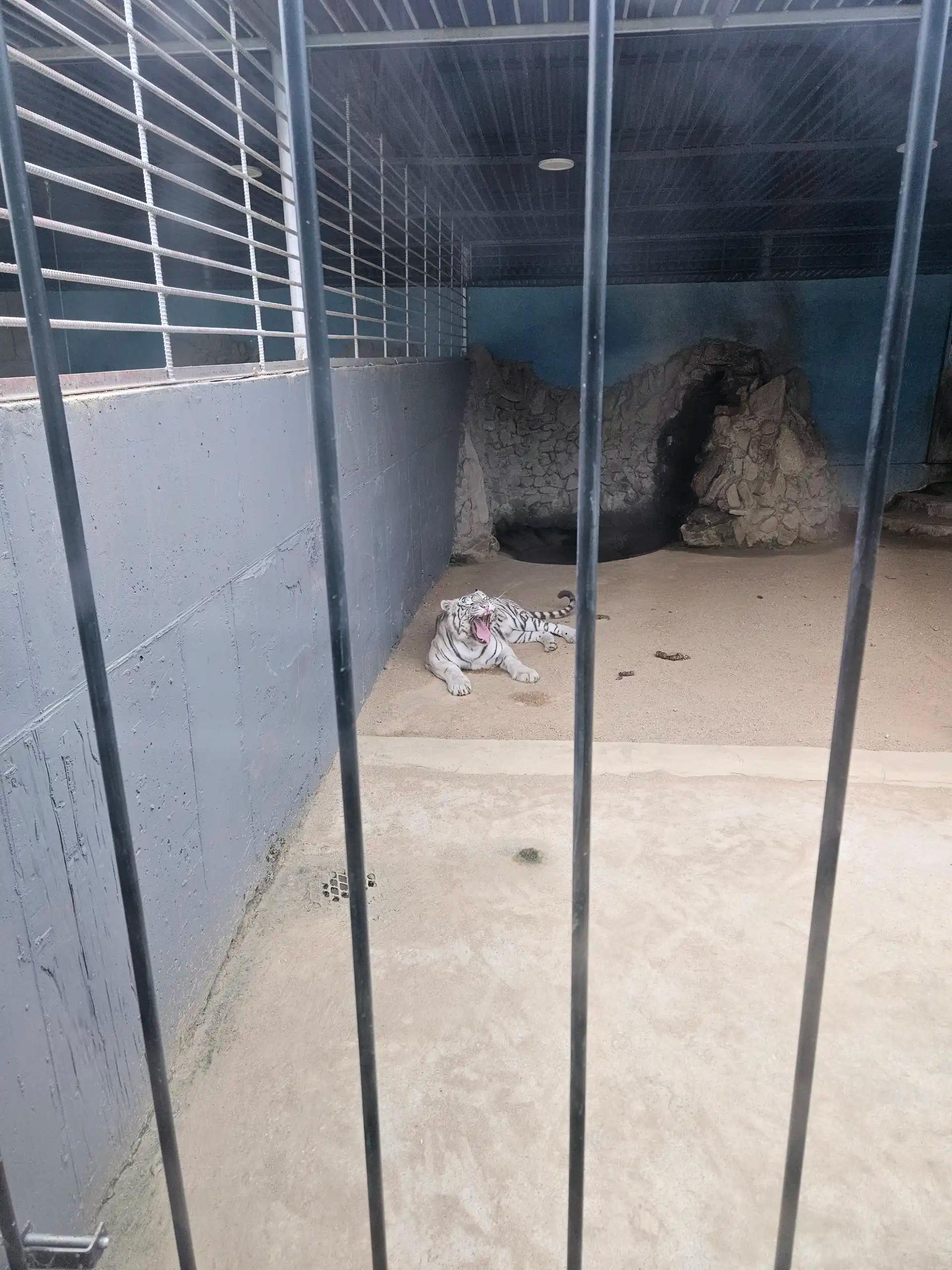 크루톡 이미지