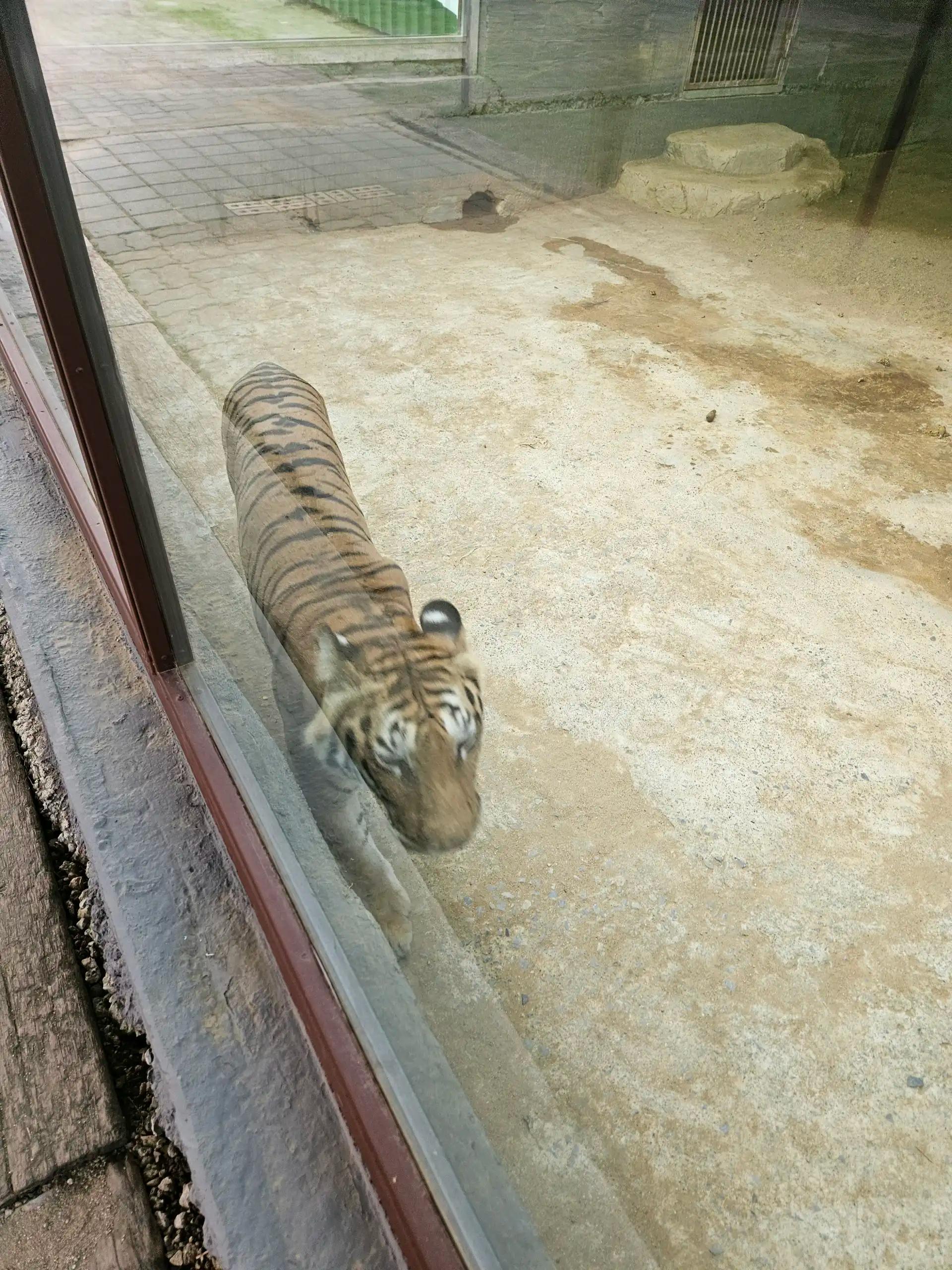 크루톡 이미지 2