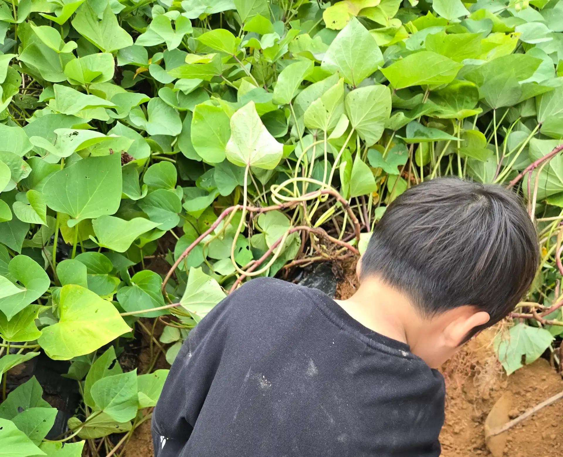 크루톡 이미지