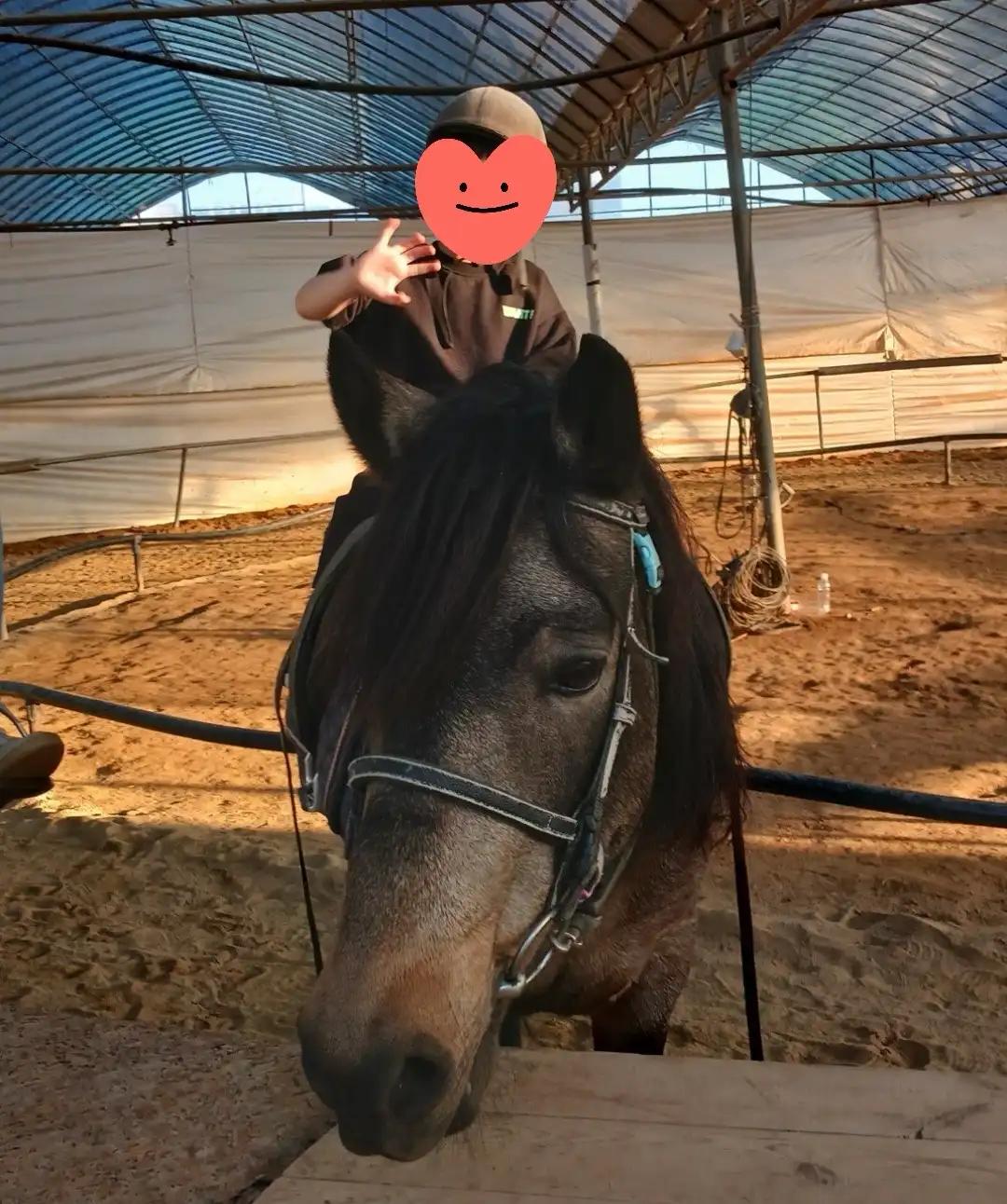 크루톡 이미지 2