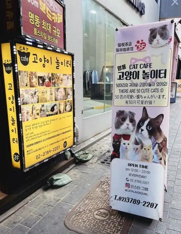 크루톡 이미지