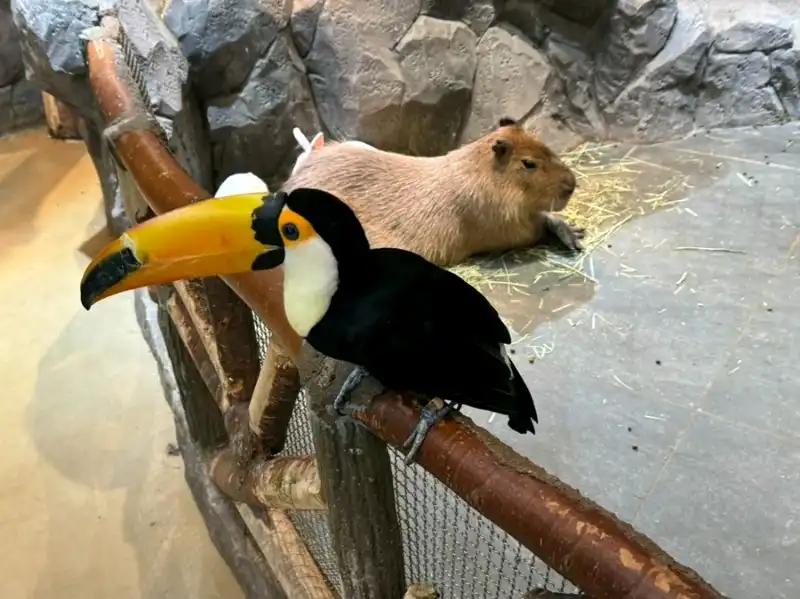 크루톡 이미지 2