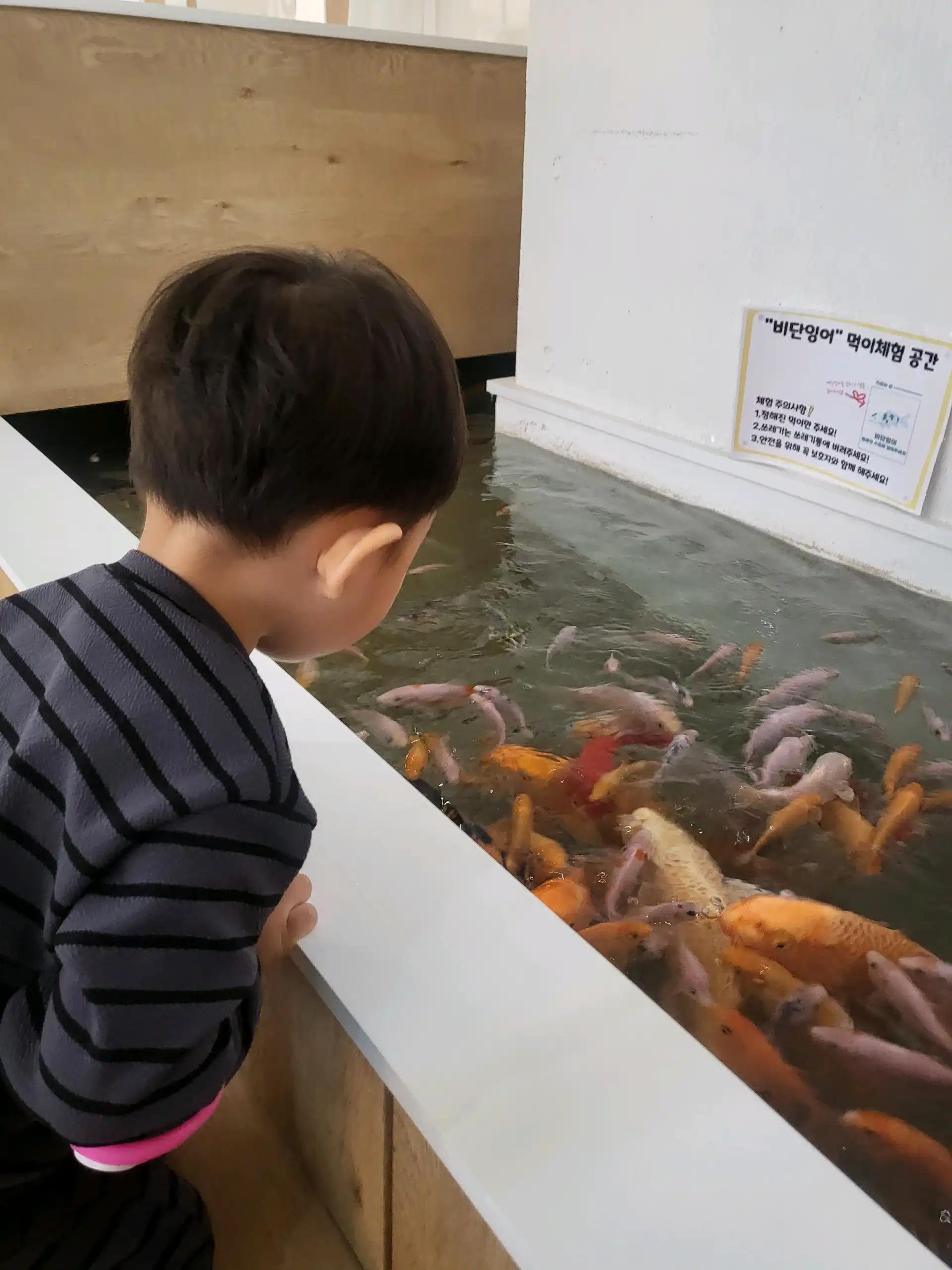 크루톡 이미지 2