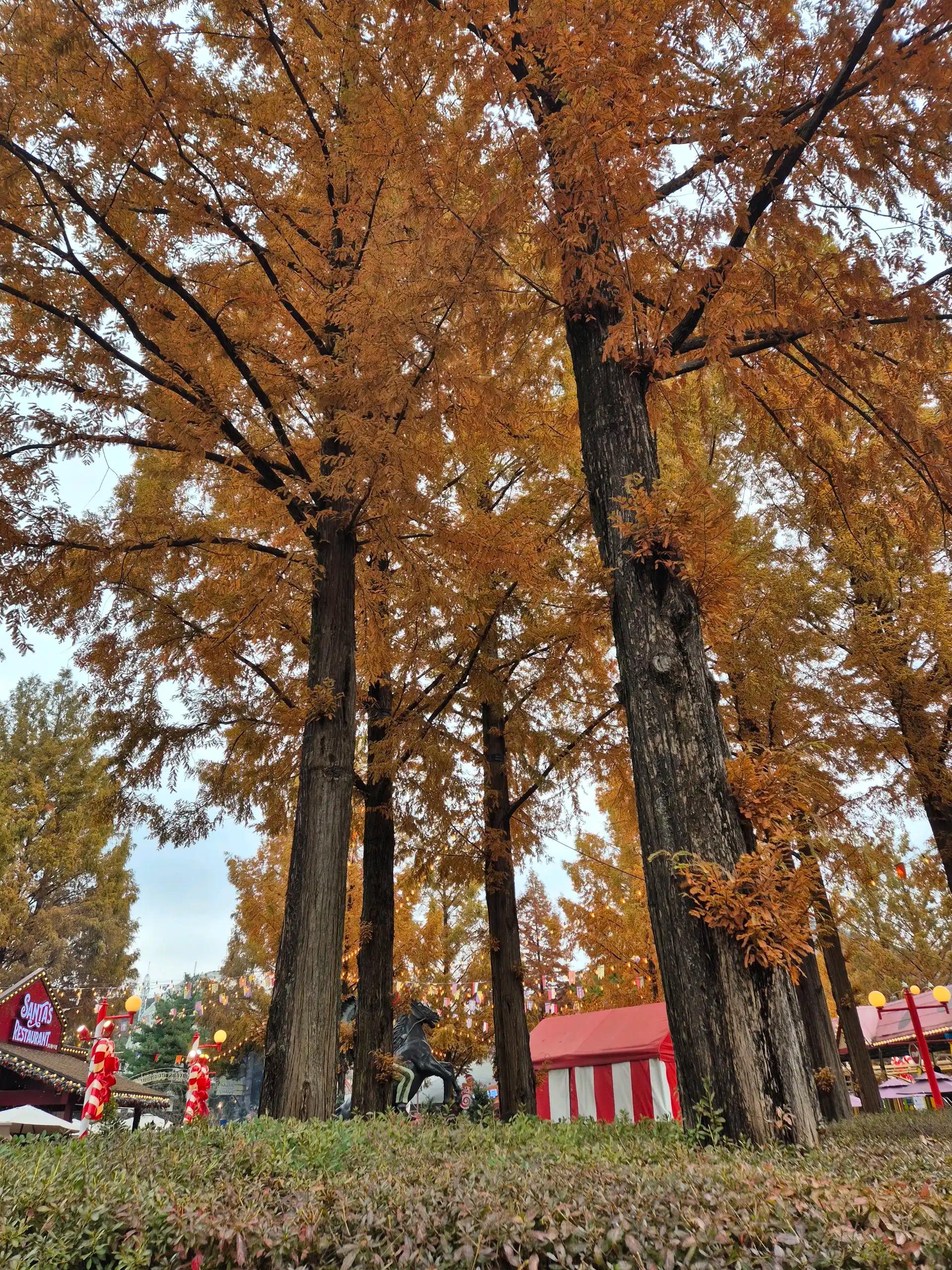 크루톡 이미지 4