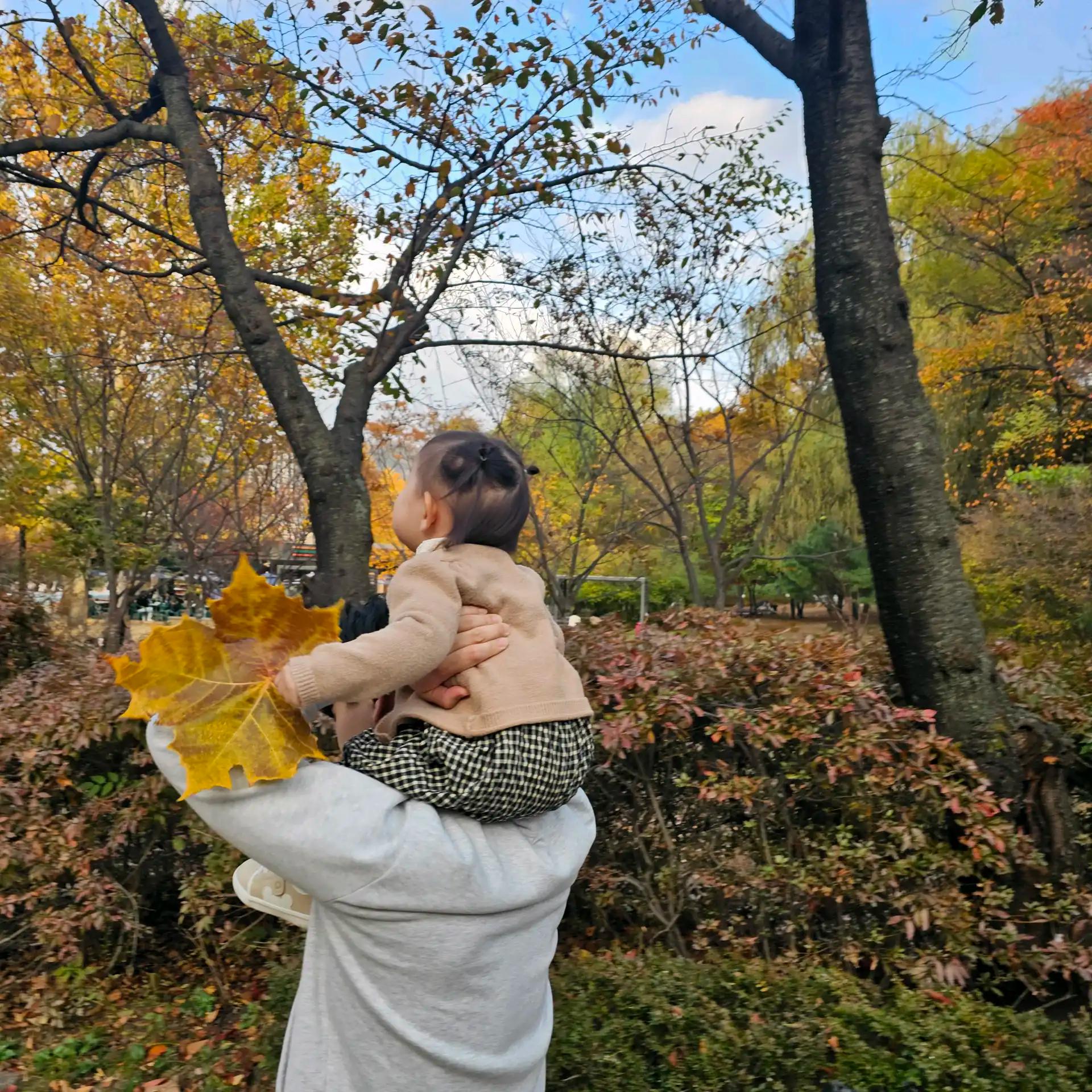 크루톡 이미지 1