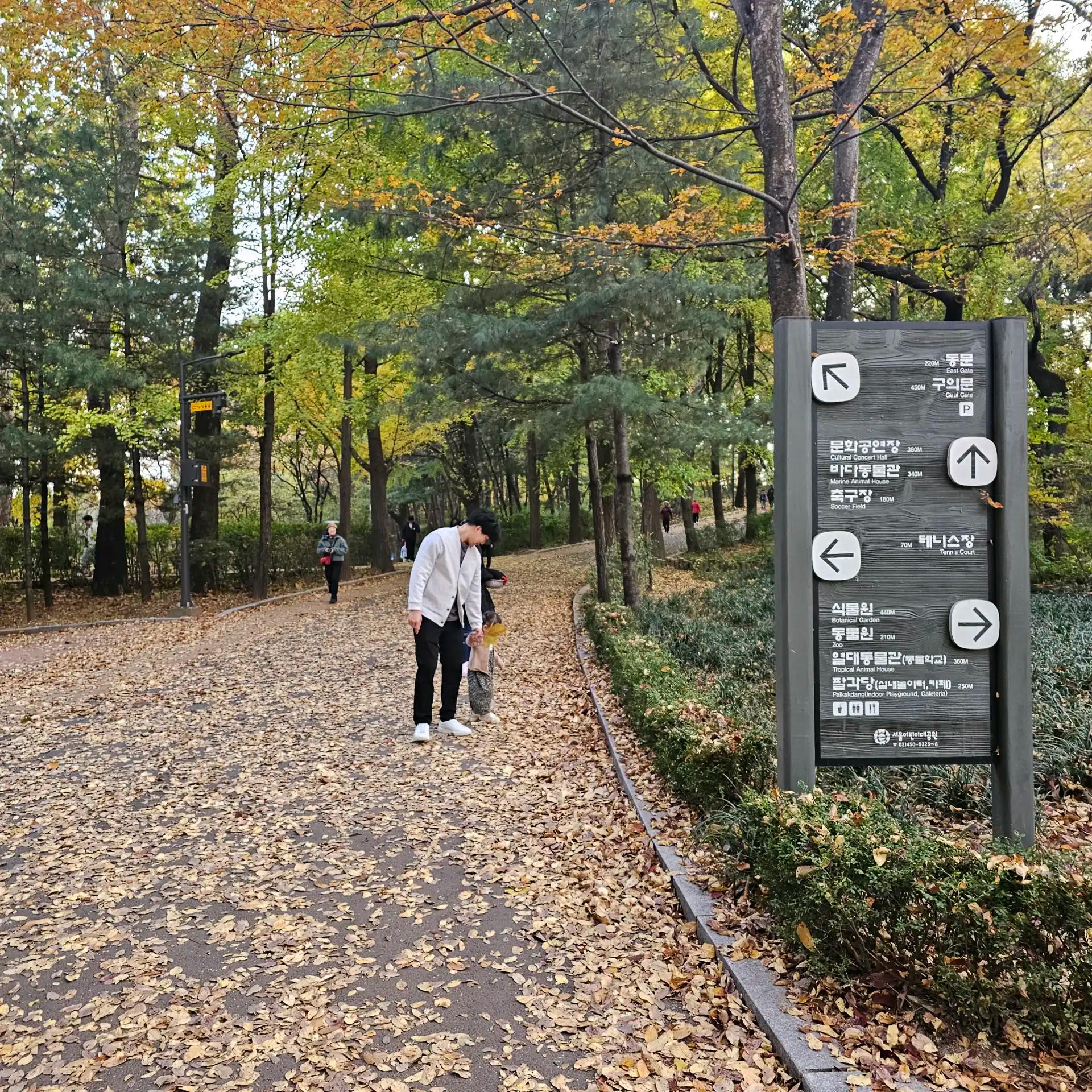 크루톡 이미지 2