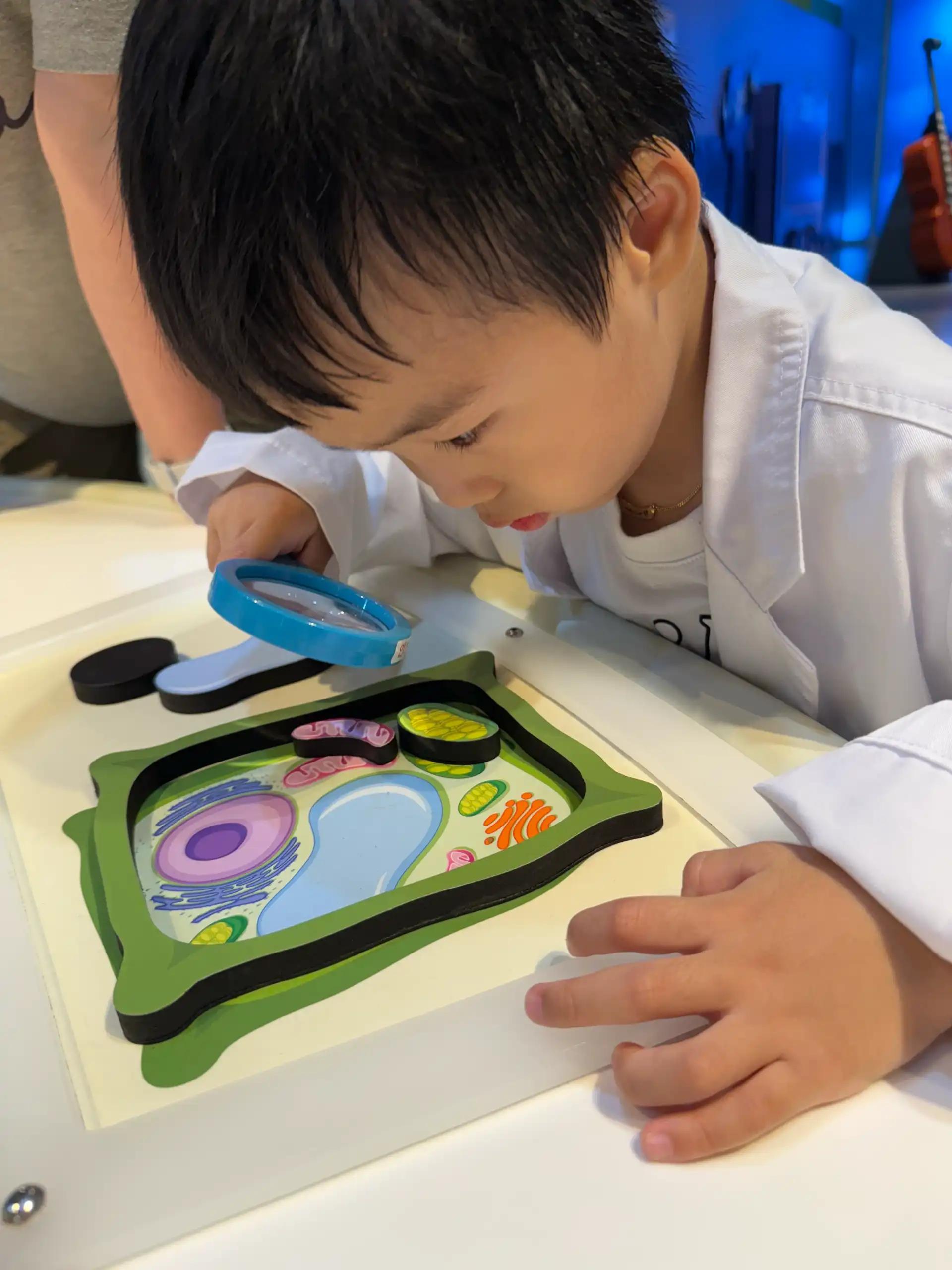 크루톡 이미지 4