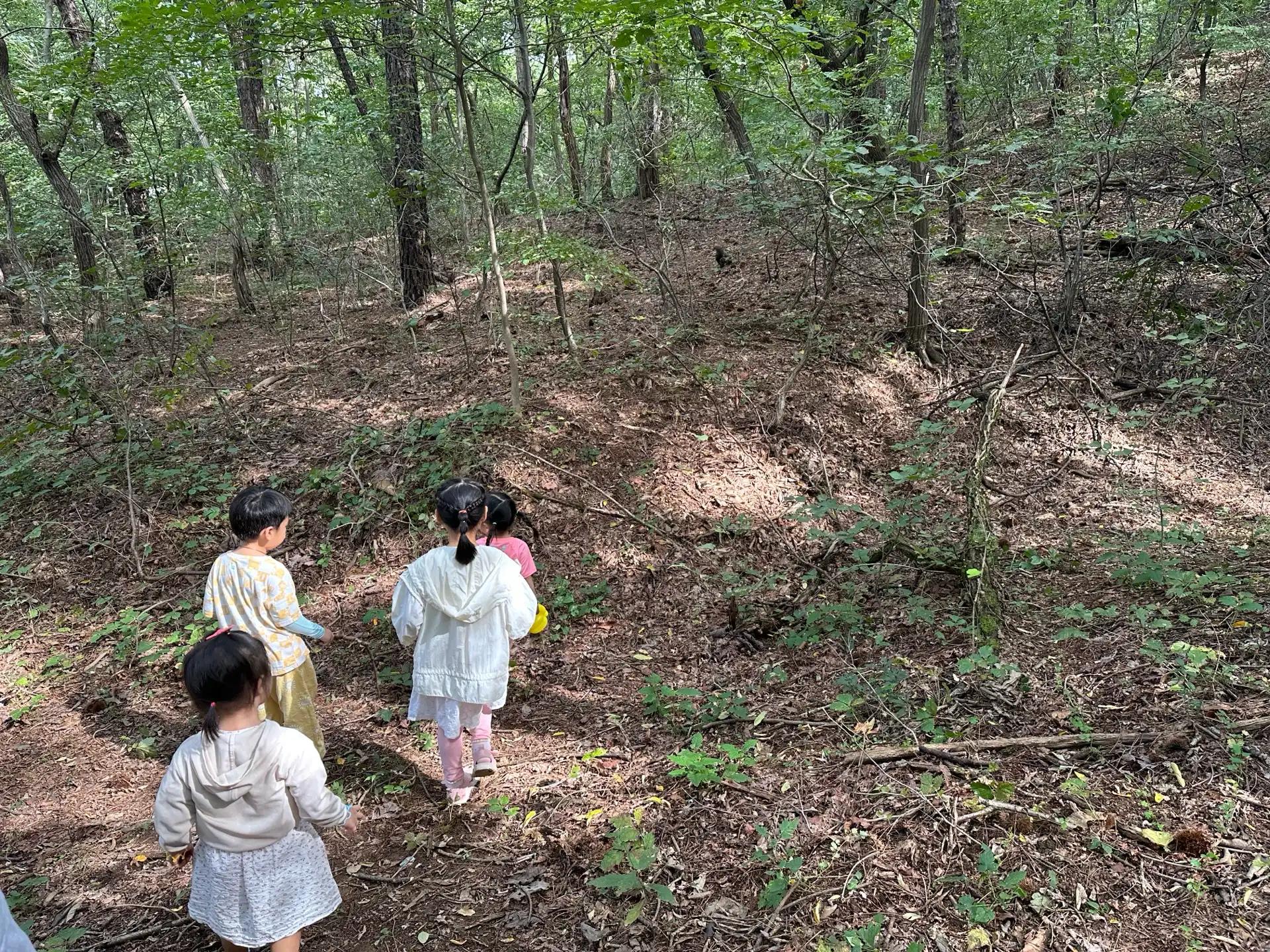 크루톡 이미지 3