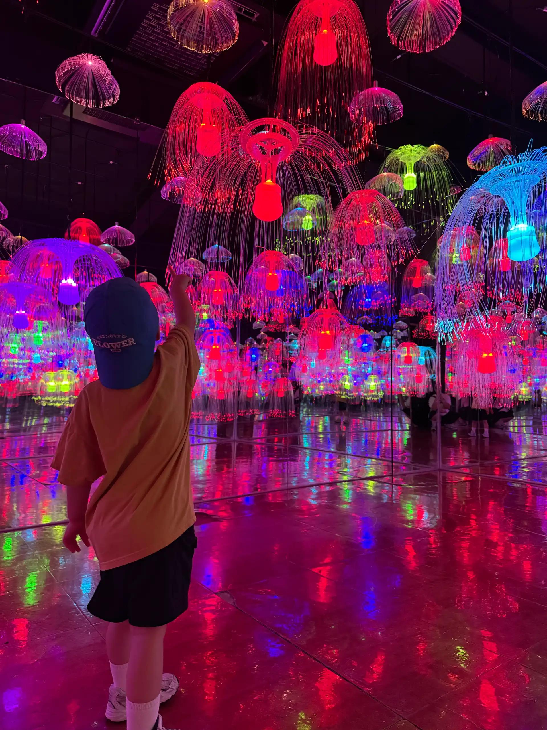 크루톡 이미지 2