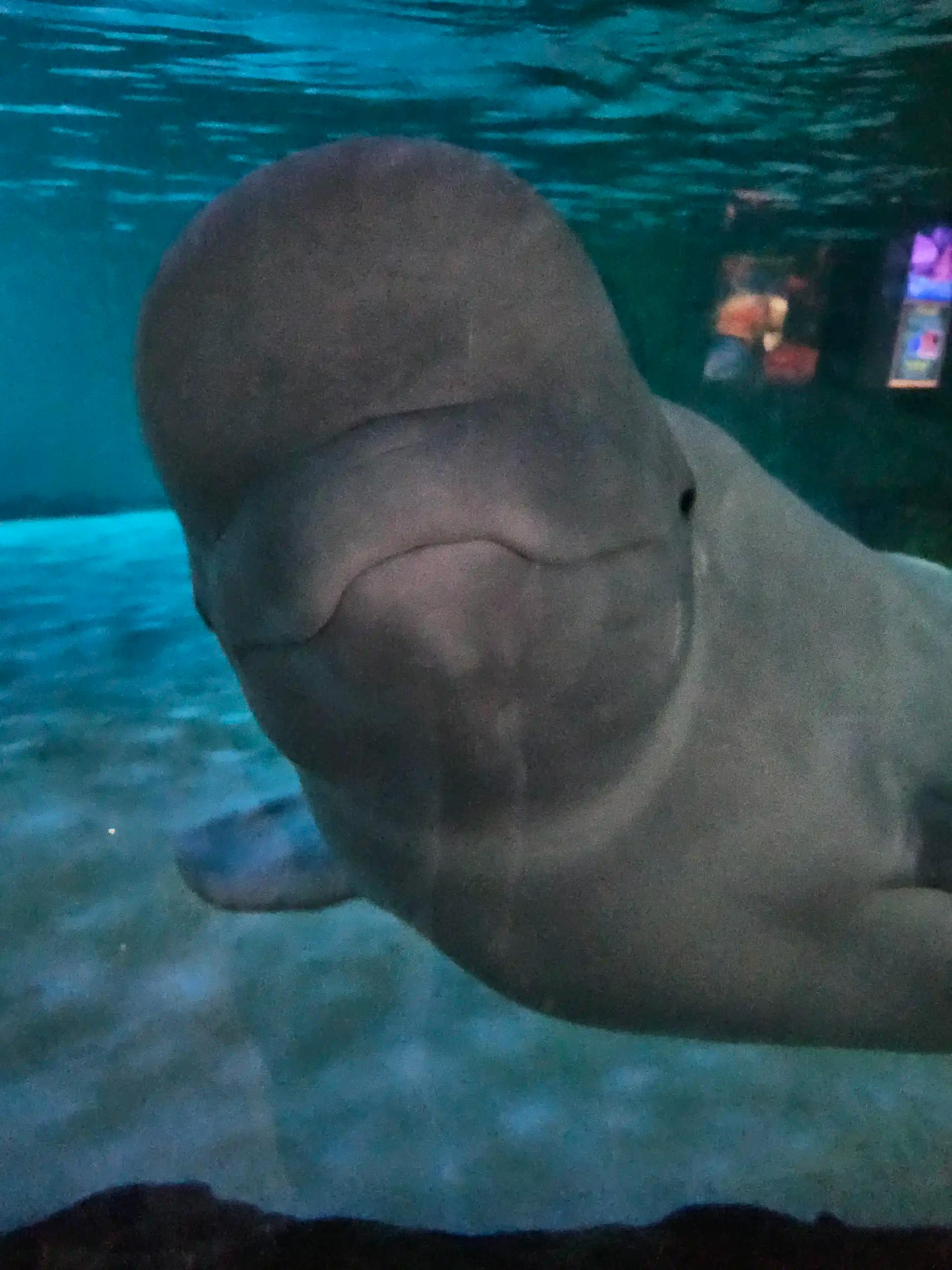 크루톡 이미지 1