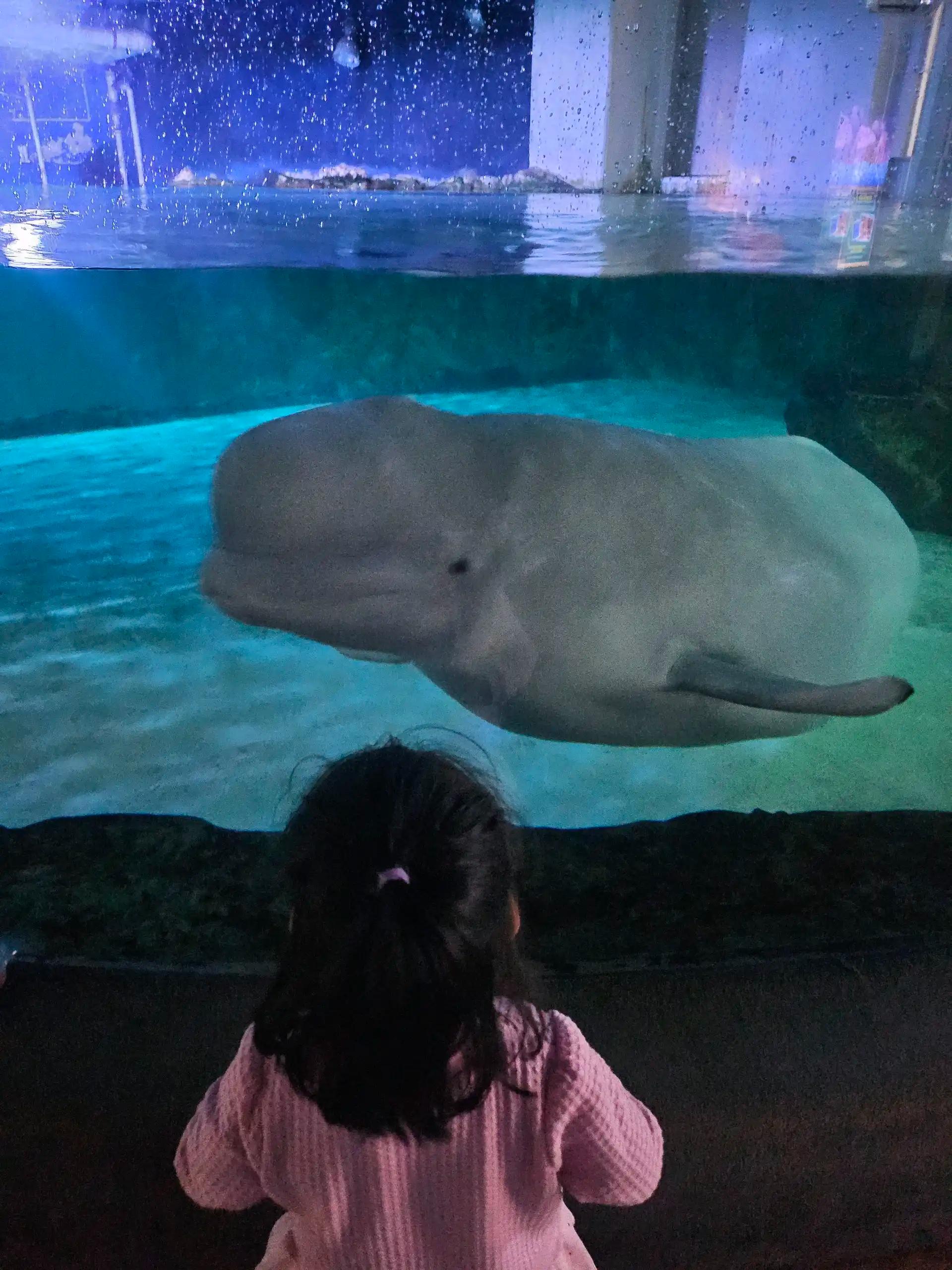 크루톡 이미지 2