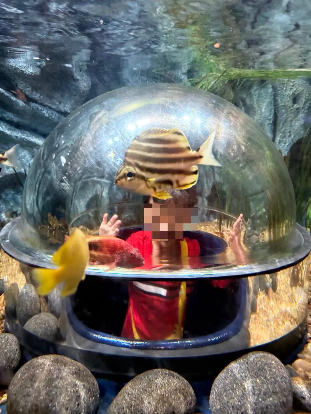 크루톡 이미지 8