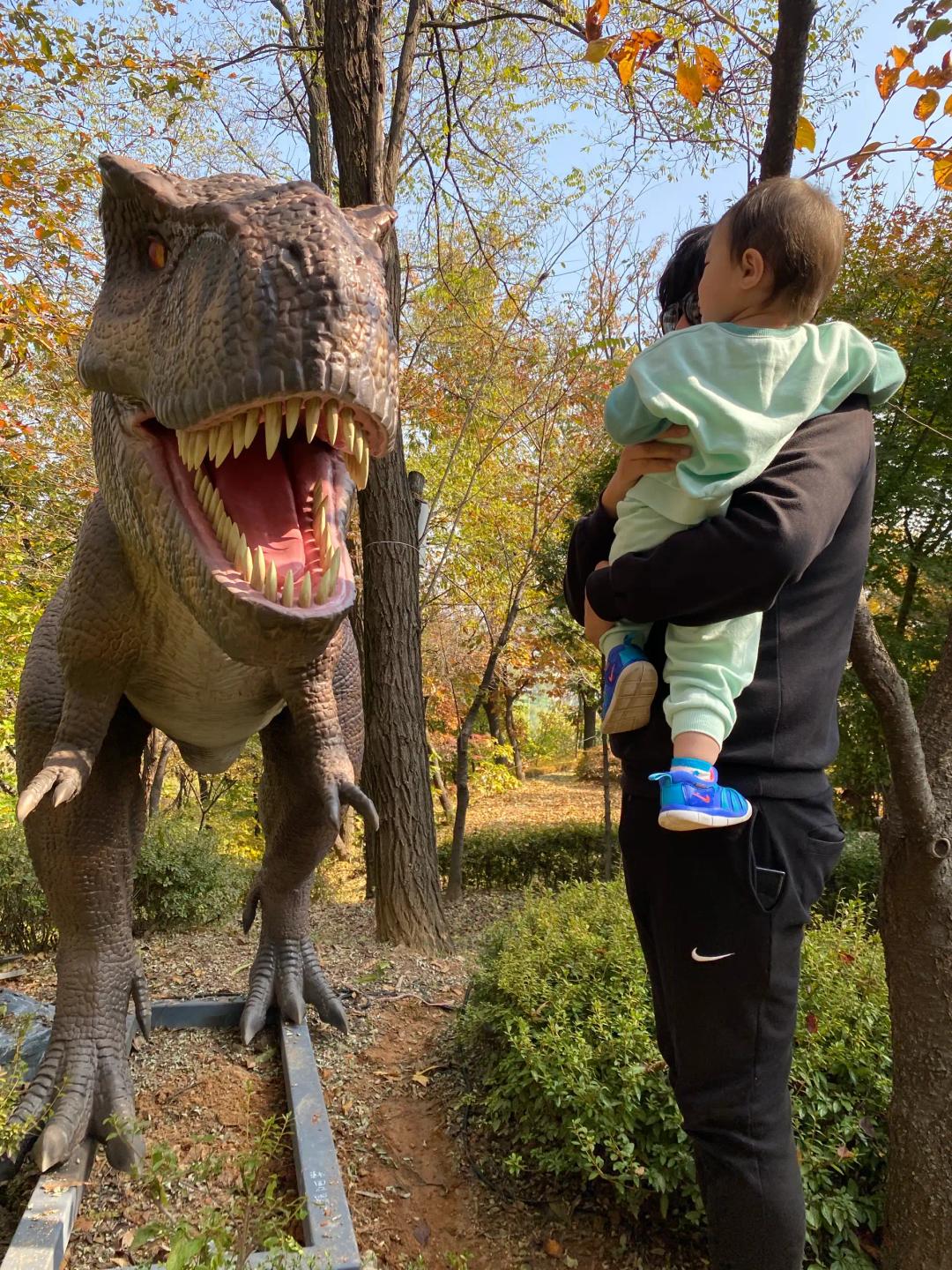 크루톡 이미지 2