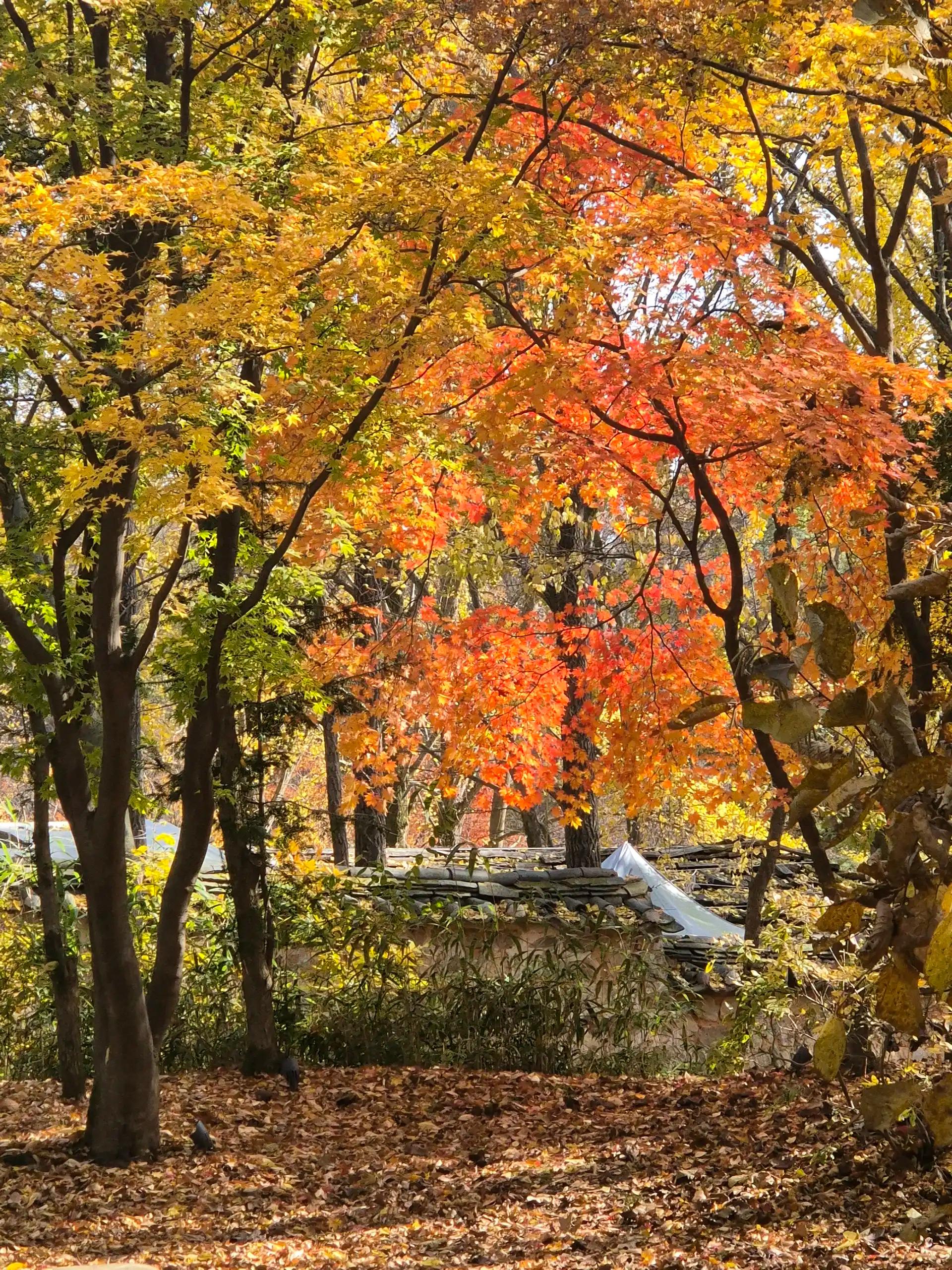 크루톡 이미지 2