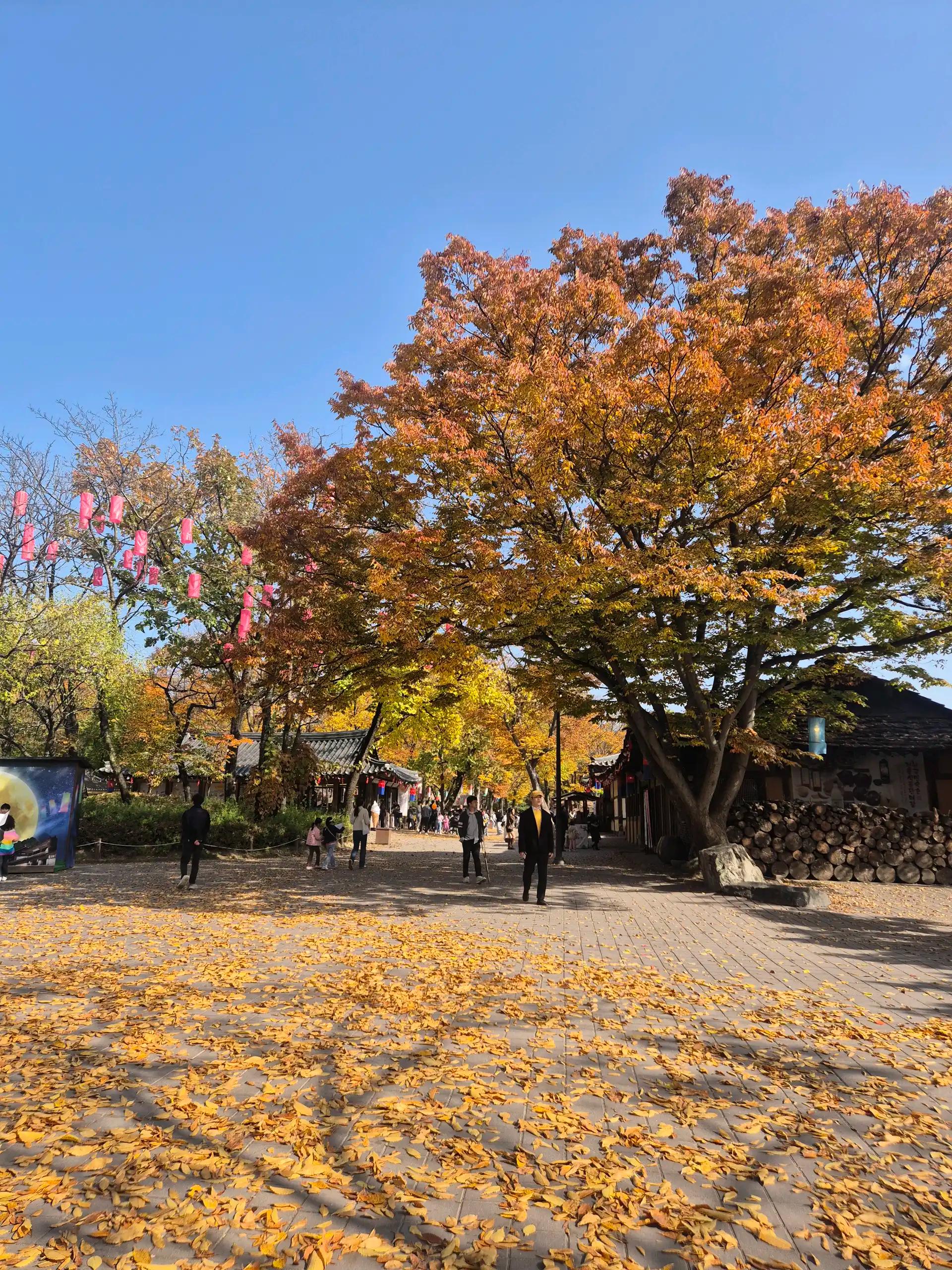 크루톡 이미지 3