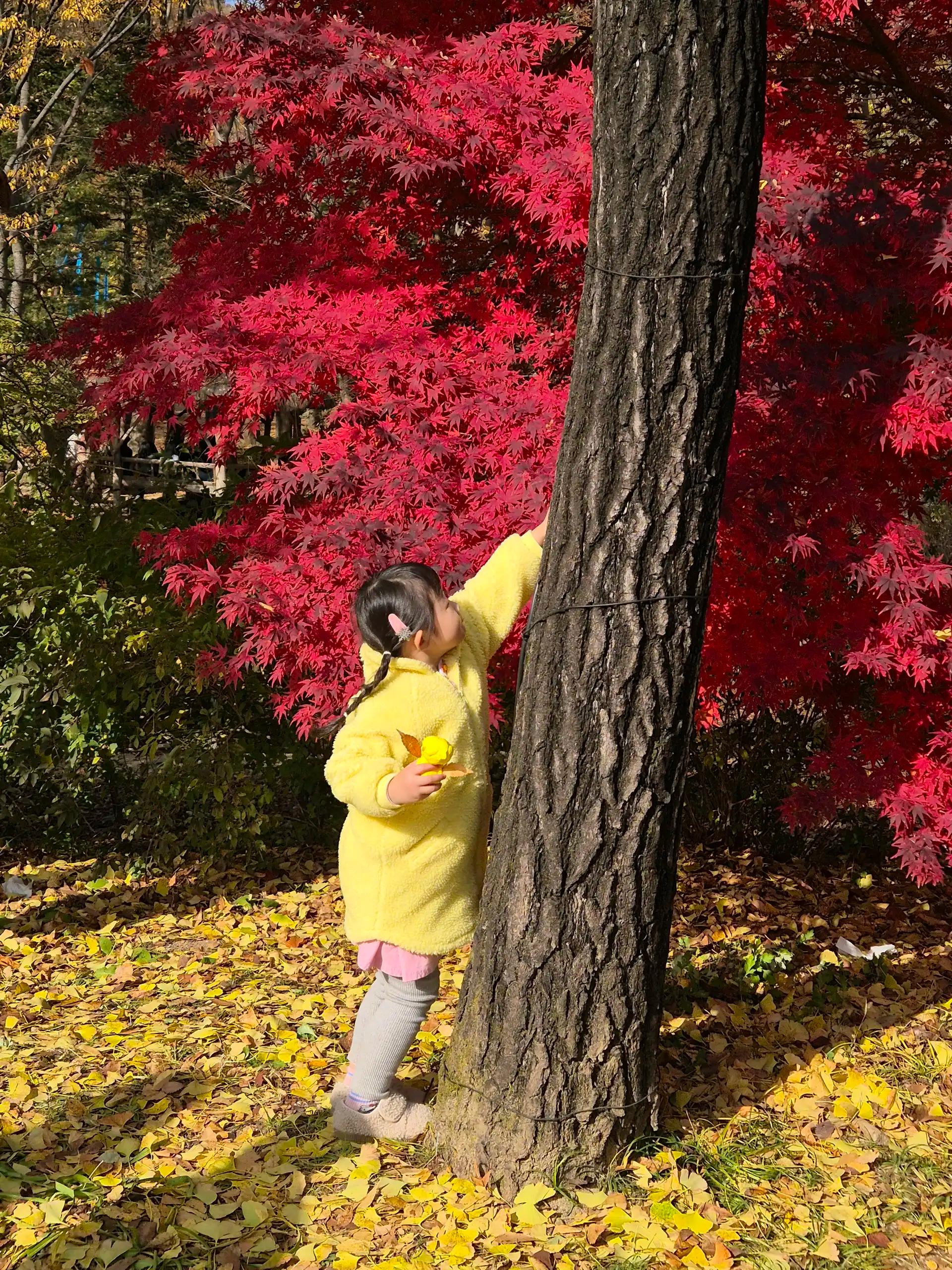 크루톡 이미지 4