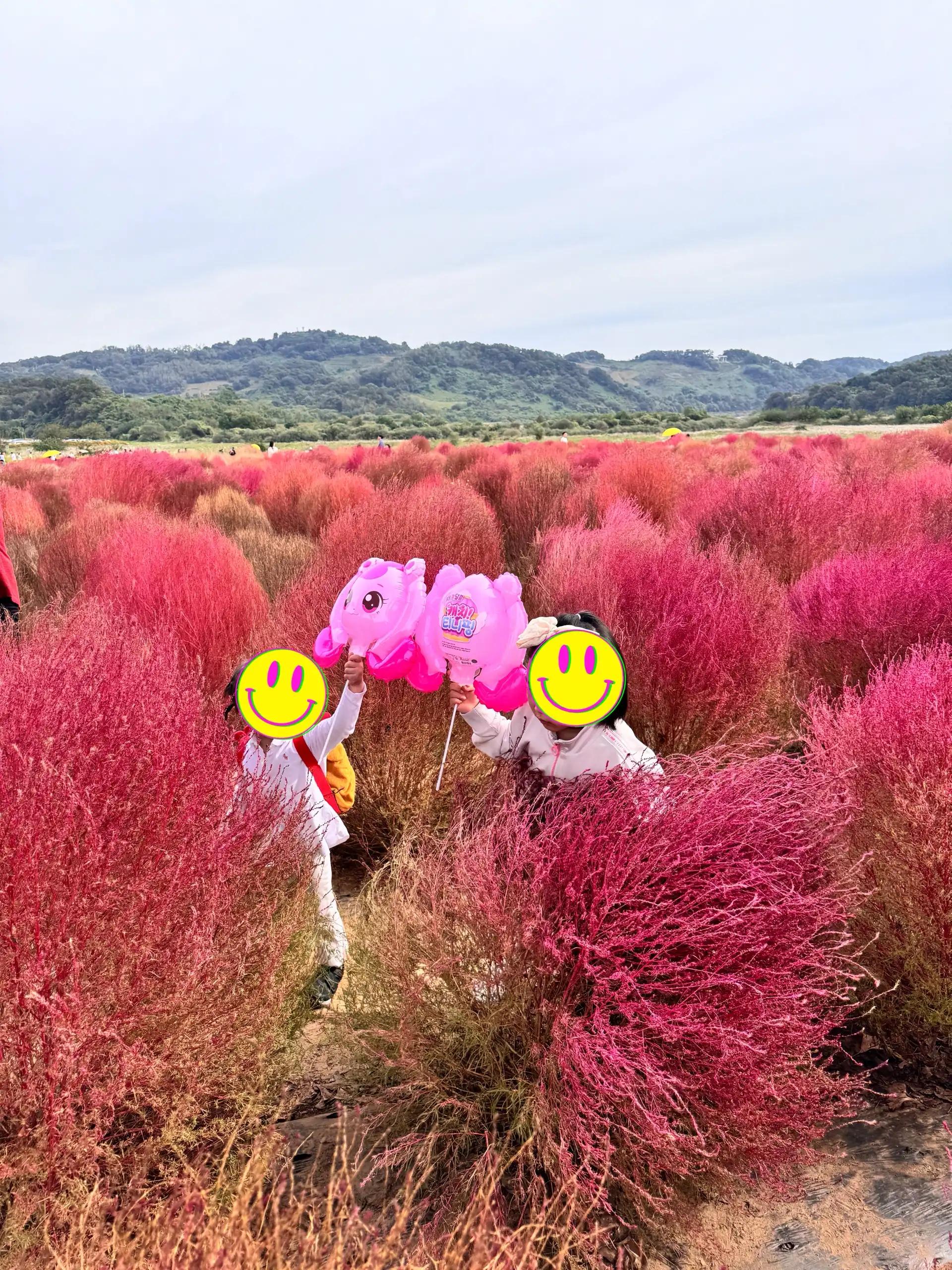 크루톡 이미지 2