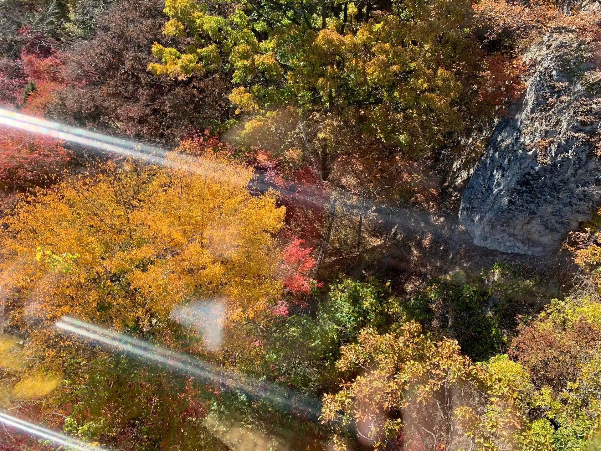 크루톡 이미지 2