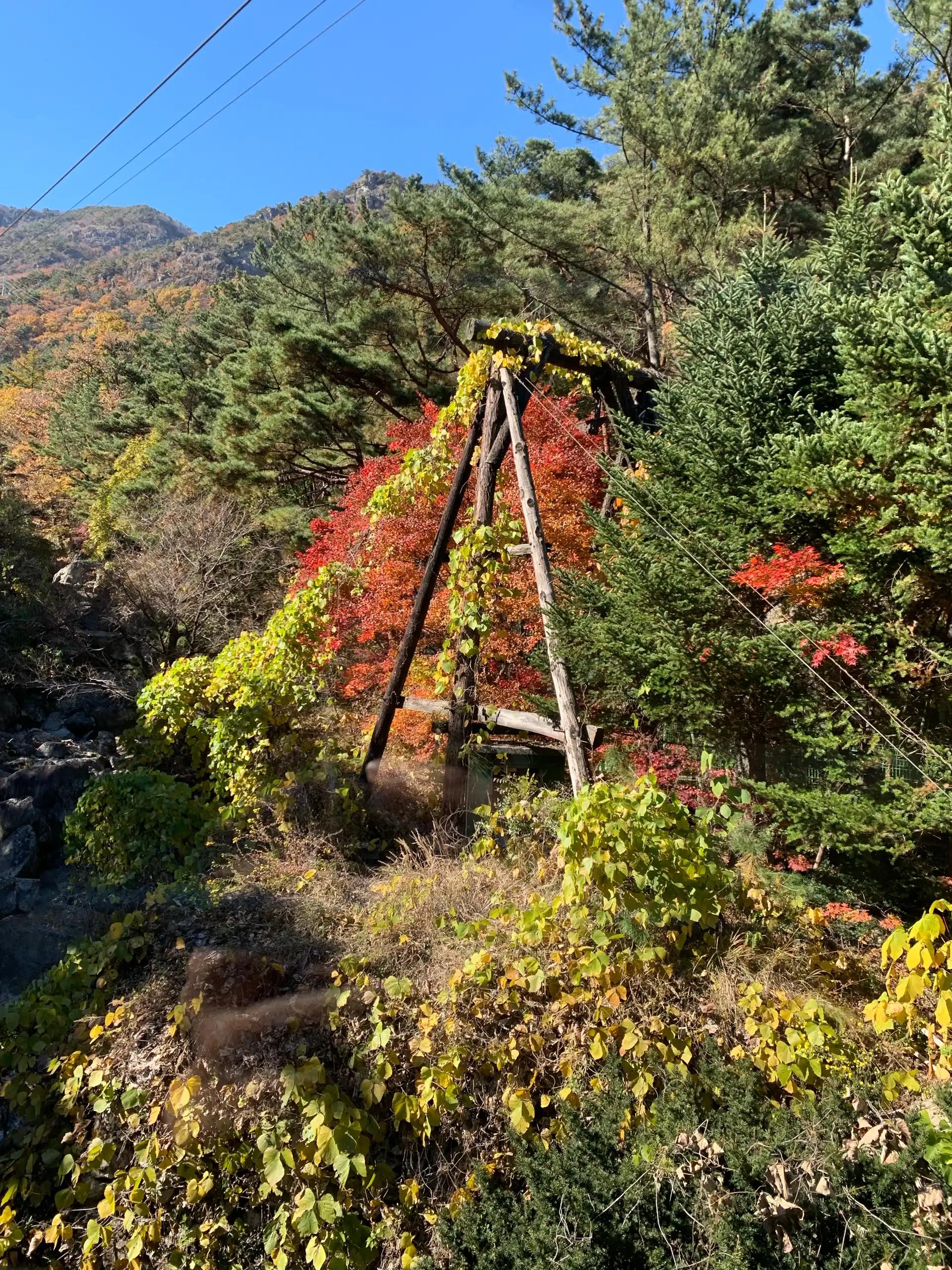 크루톡 이미지 3