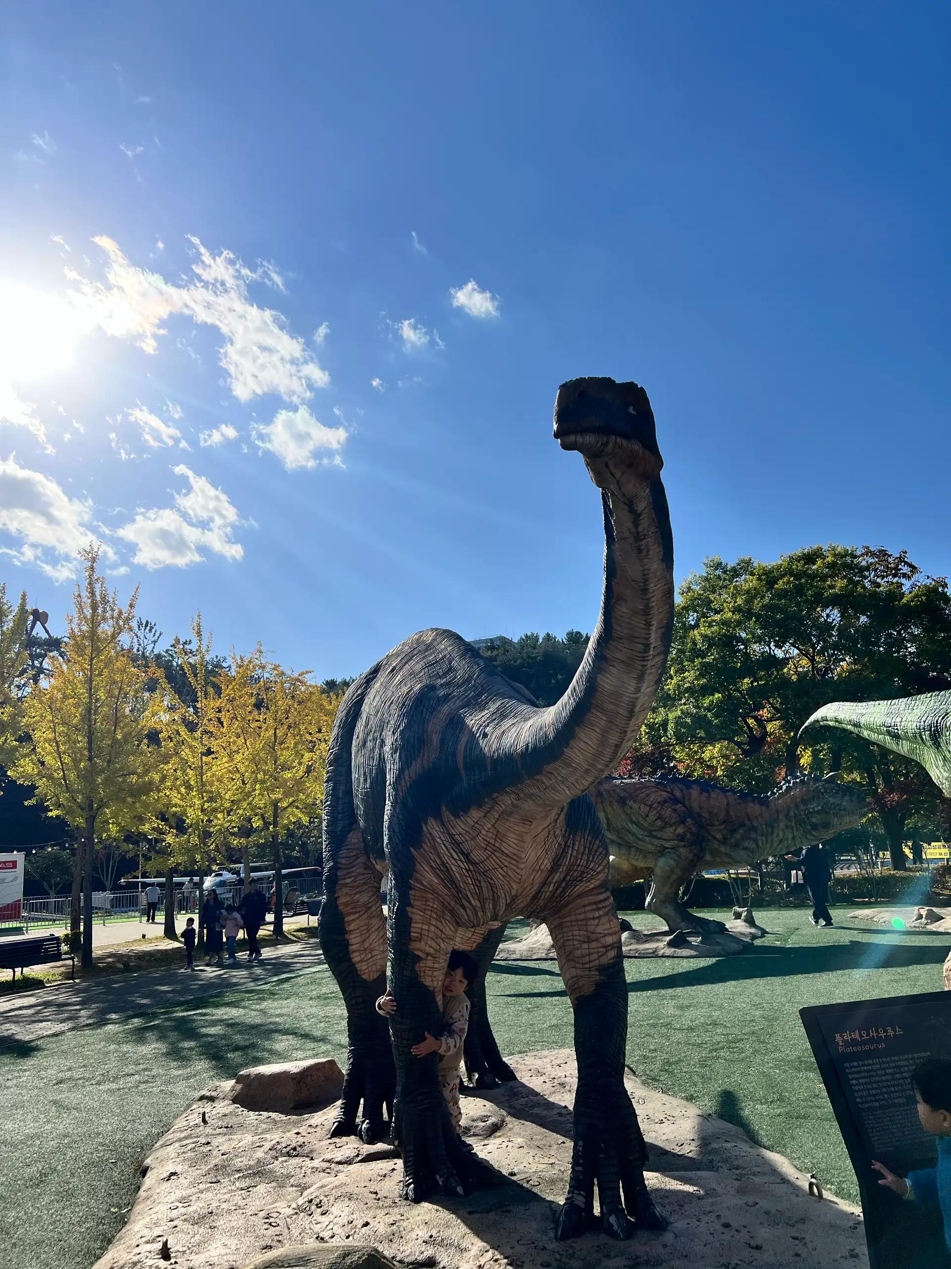 크루톡 이미지 2