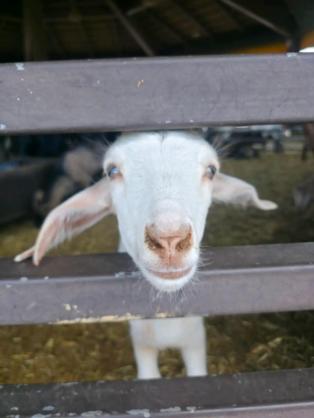 크루톡 이미지 2