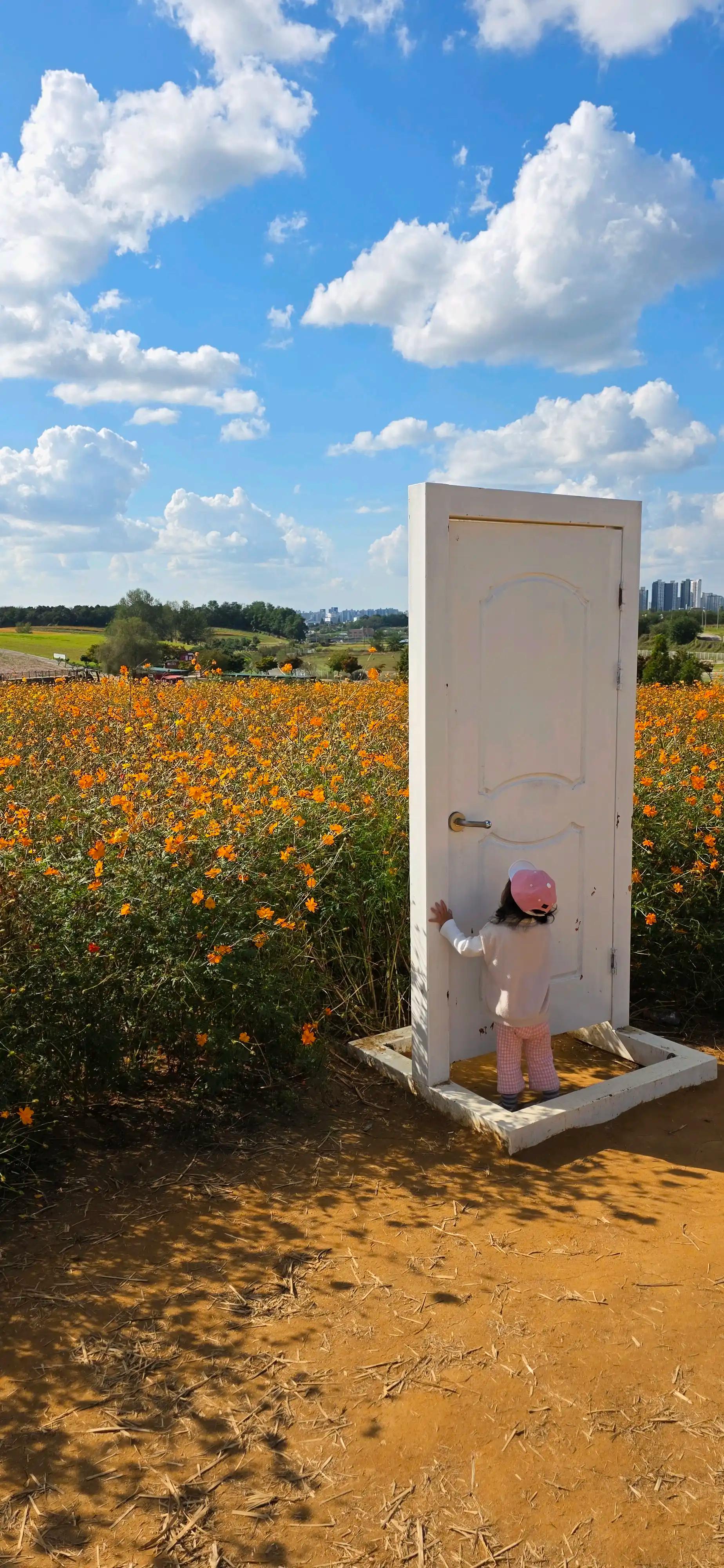 크루톡 이미지 4