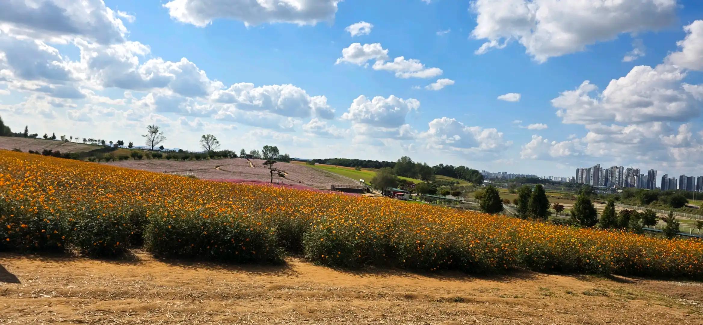 크루톡 이미지 5