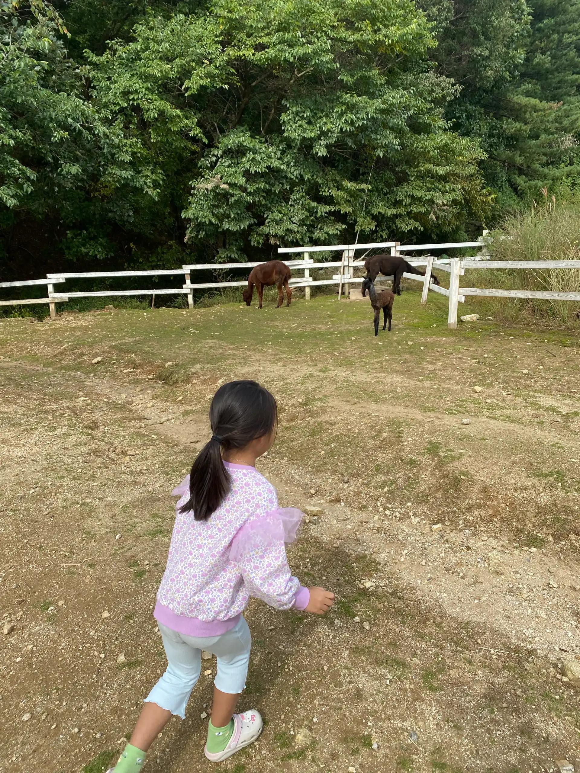 크루톡 이미지 4