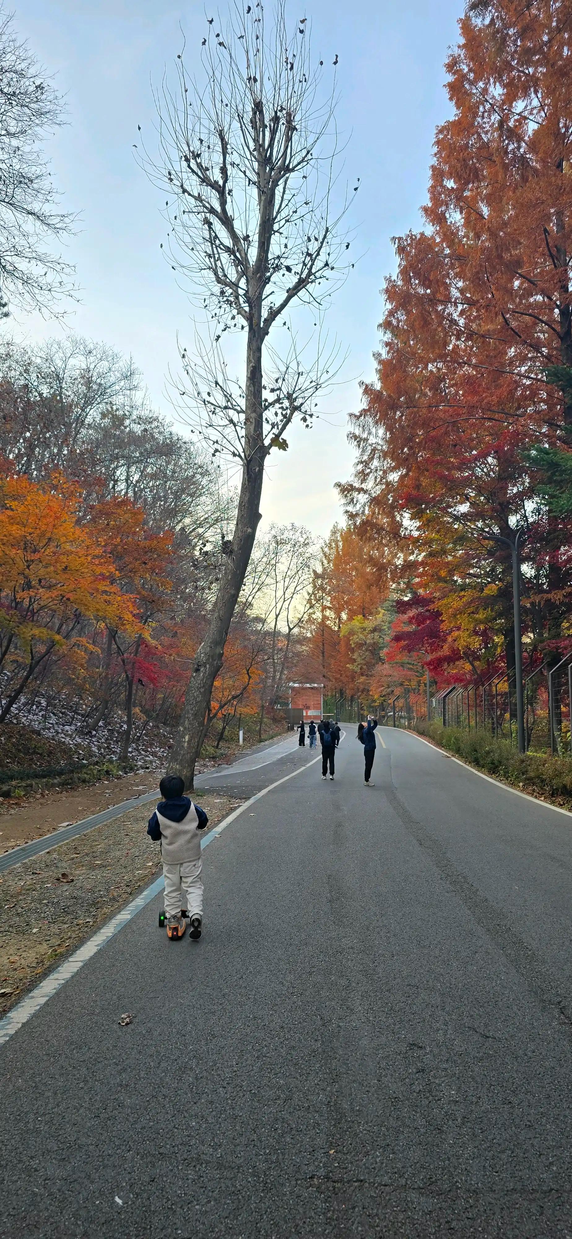 크루톡 이미지 2