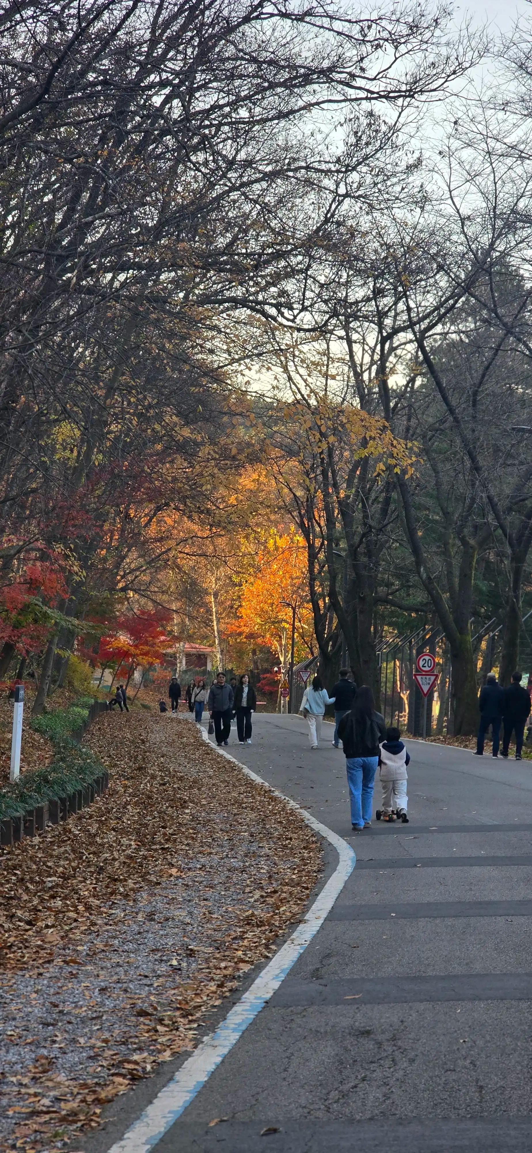 크루톡 이미지 3