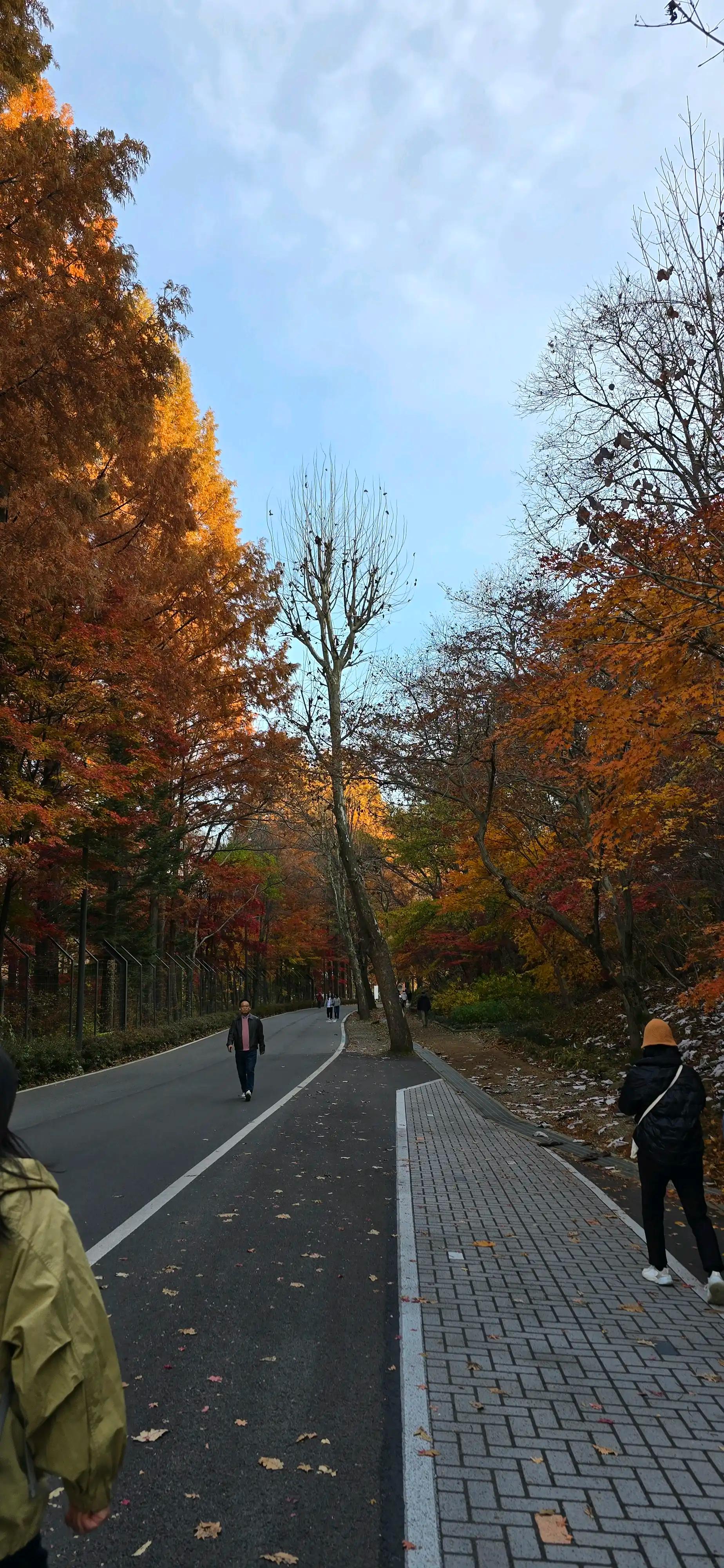 크루톡 이미지 7