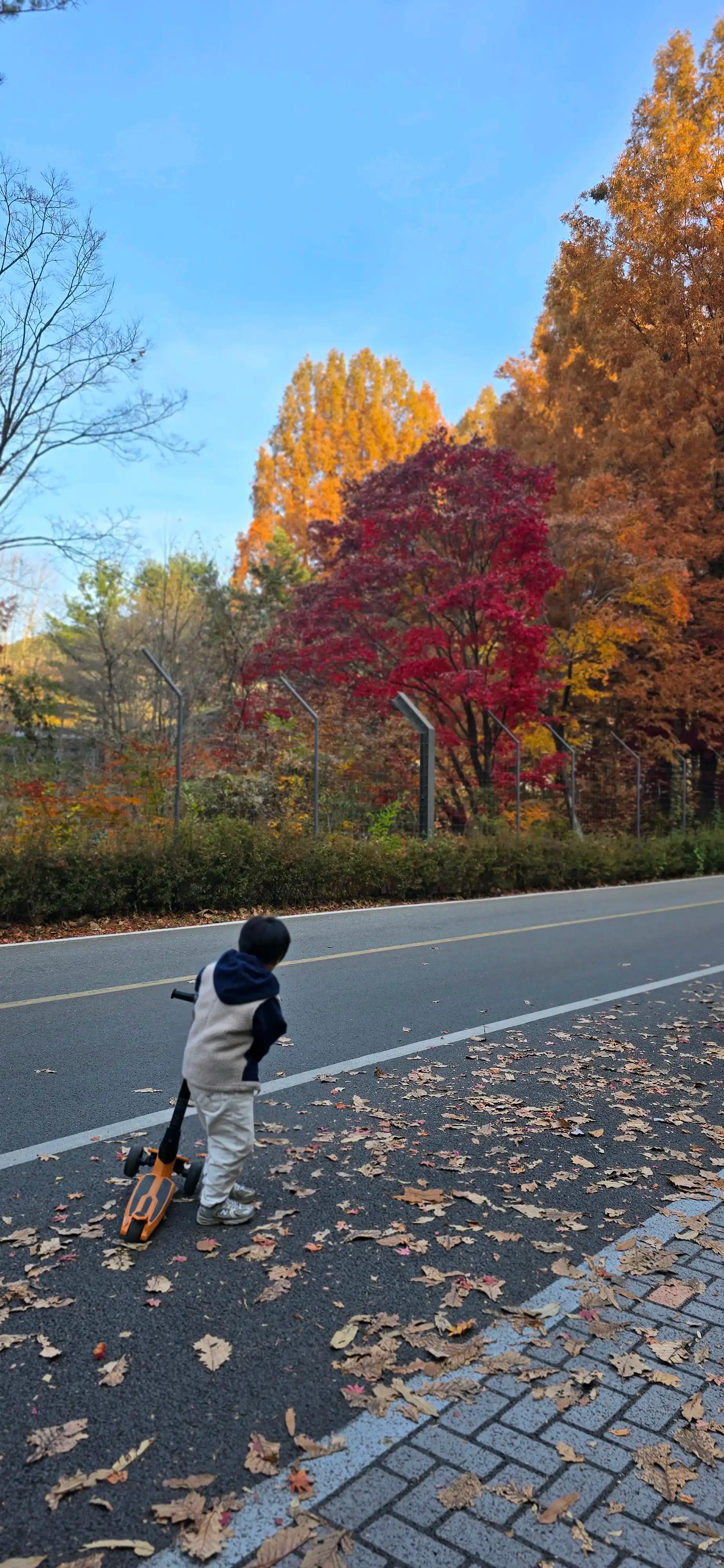 크루톡 이미지 8