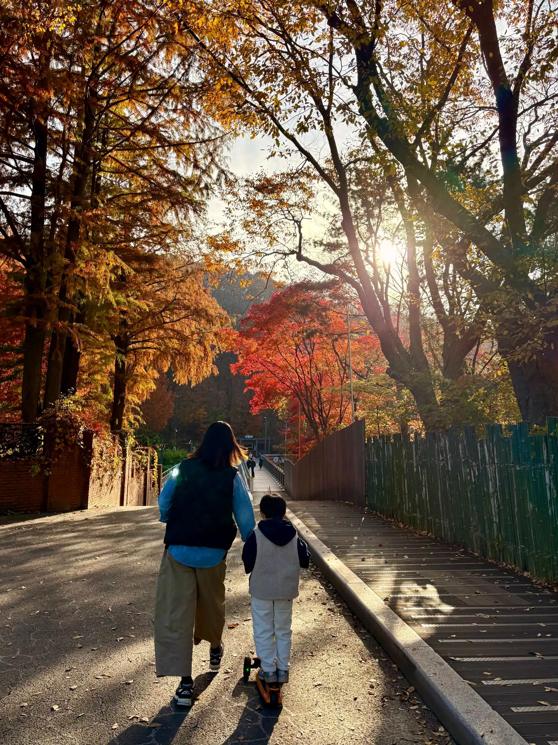 크루톡 이미지 9