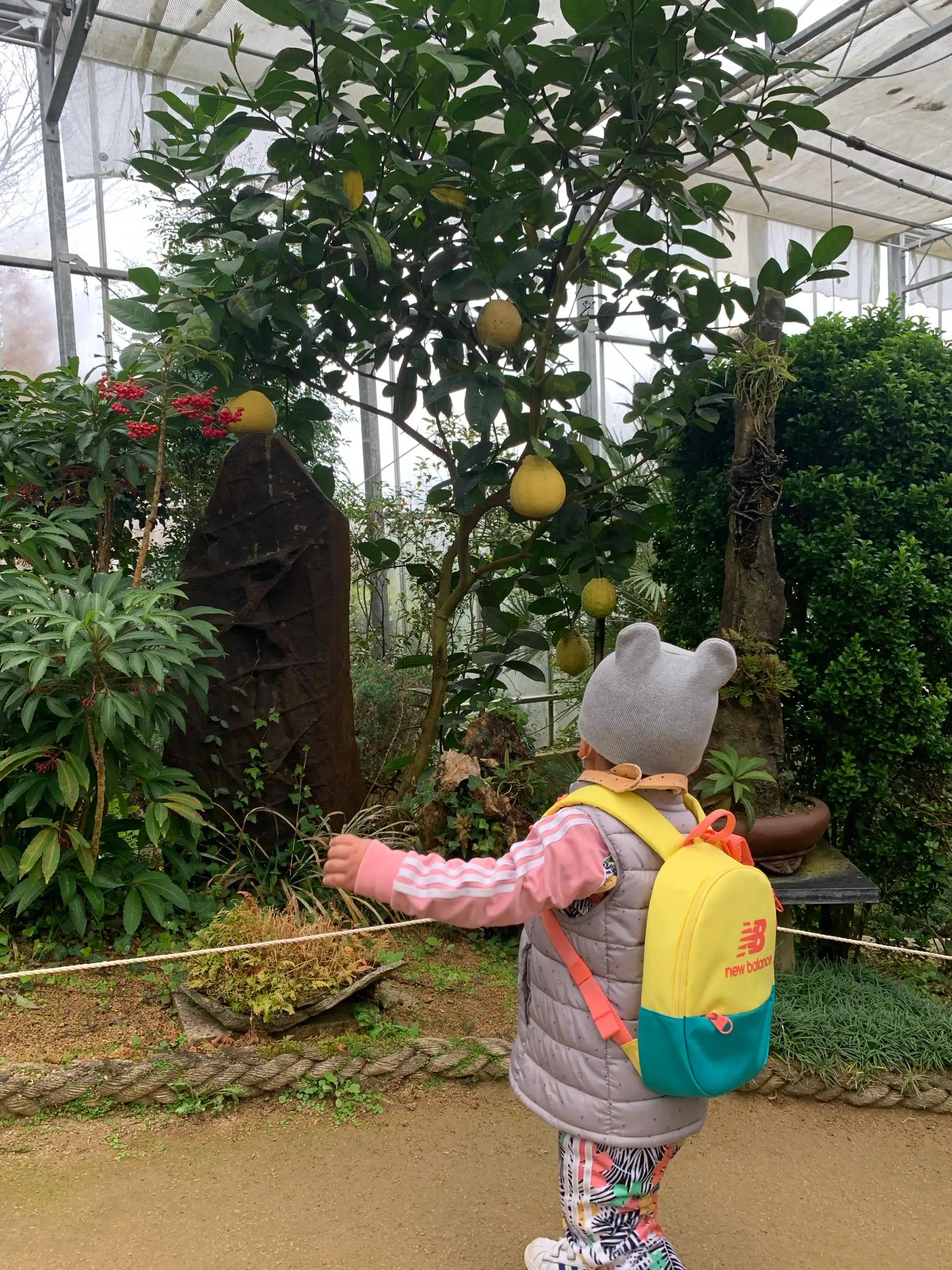 크루톡 이미지 2