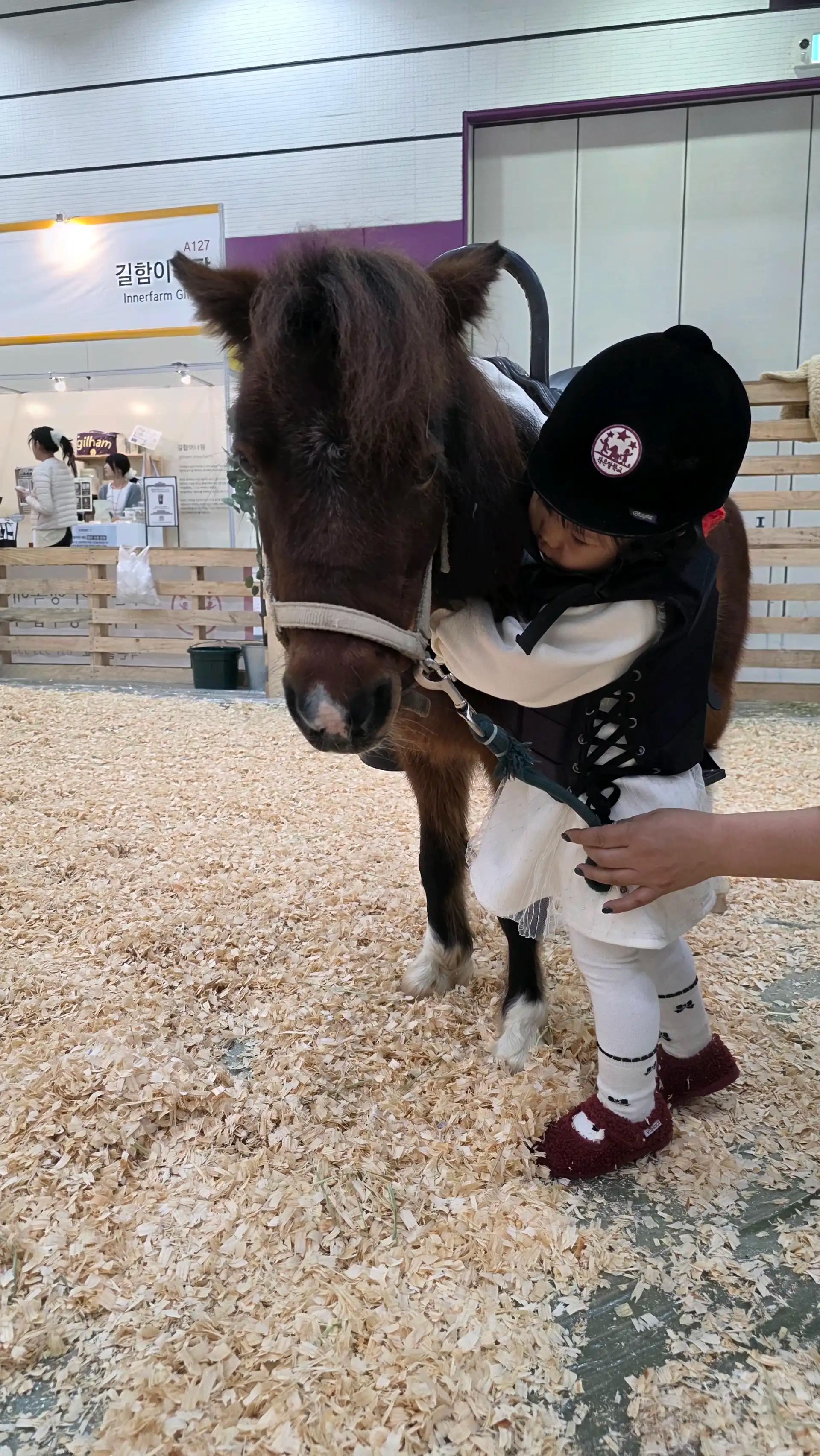 크루톡 이미지 2