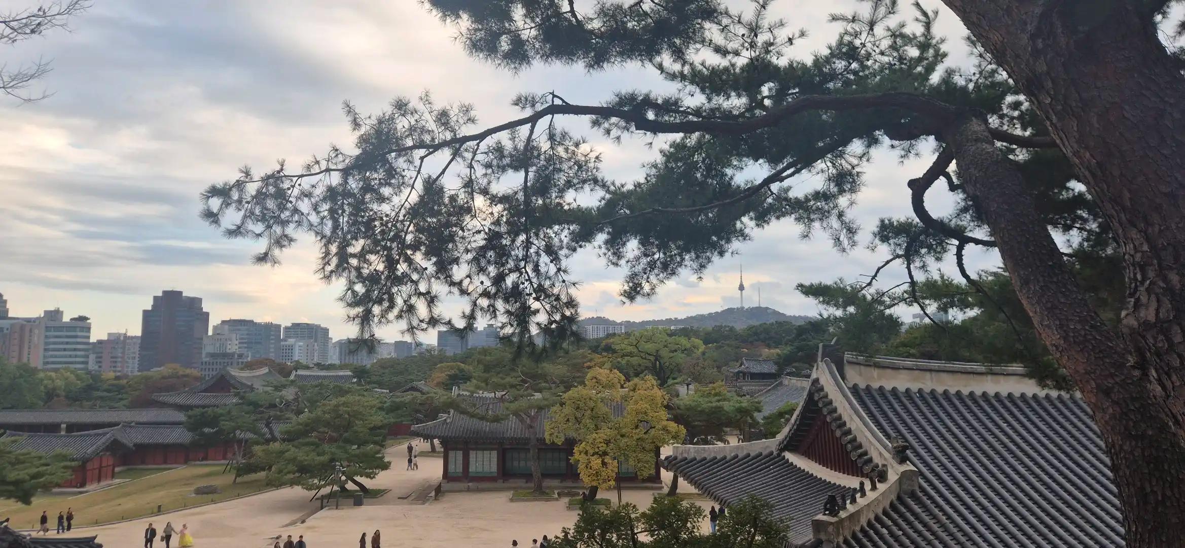 크루톡 이미지 5