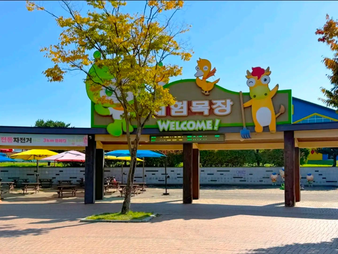 크루톡 이미지 3