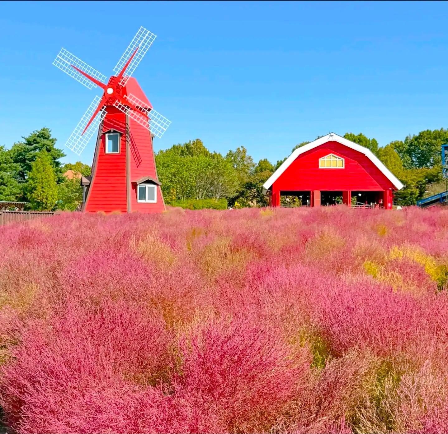 크루톡 이미지 4