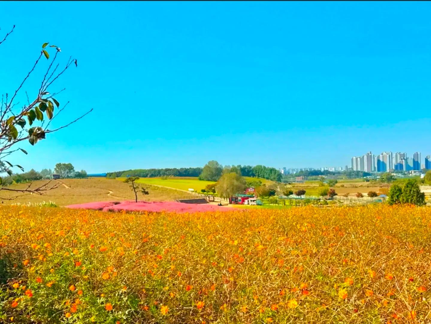 크루톡 이미지 5