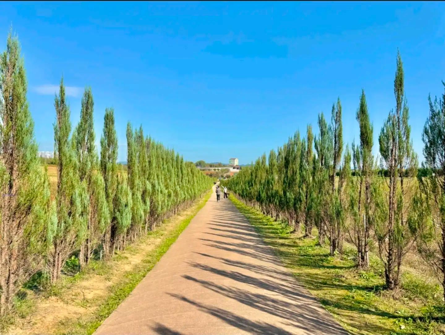 크루톡 이미지 6