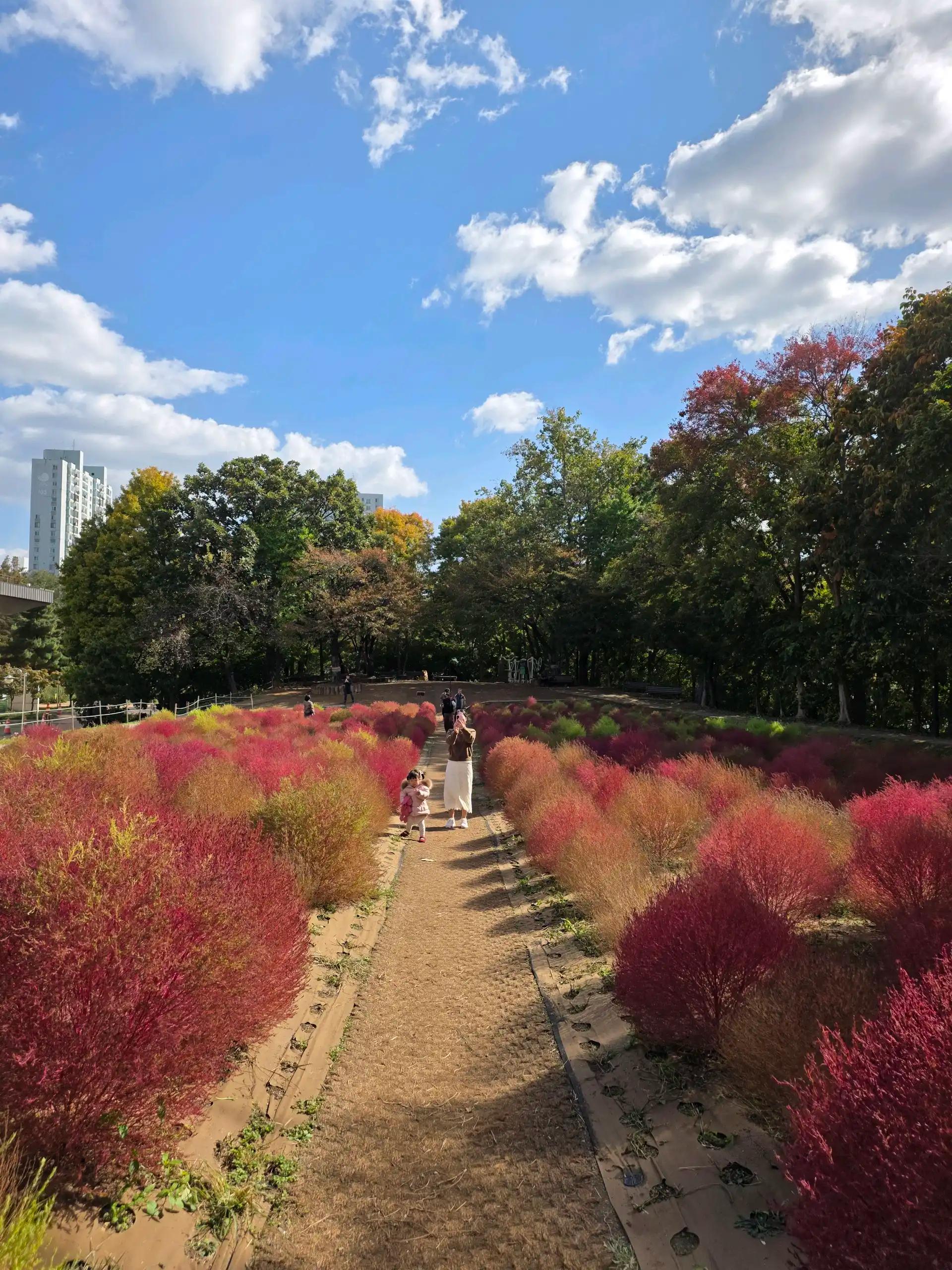 크루톡 이미지 3