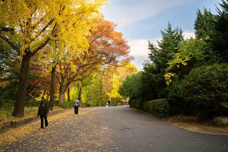 크루톡 이미지 2