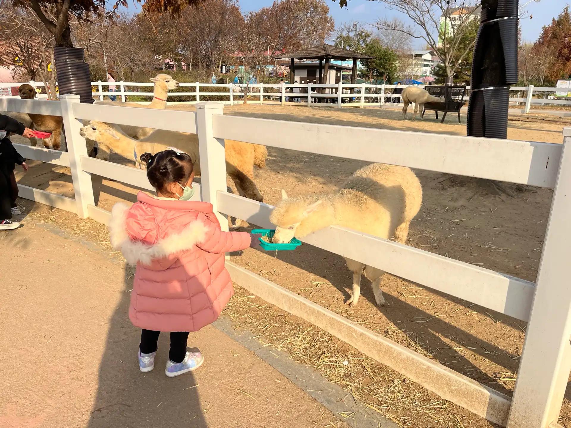 크루톡 이미지 2