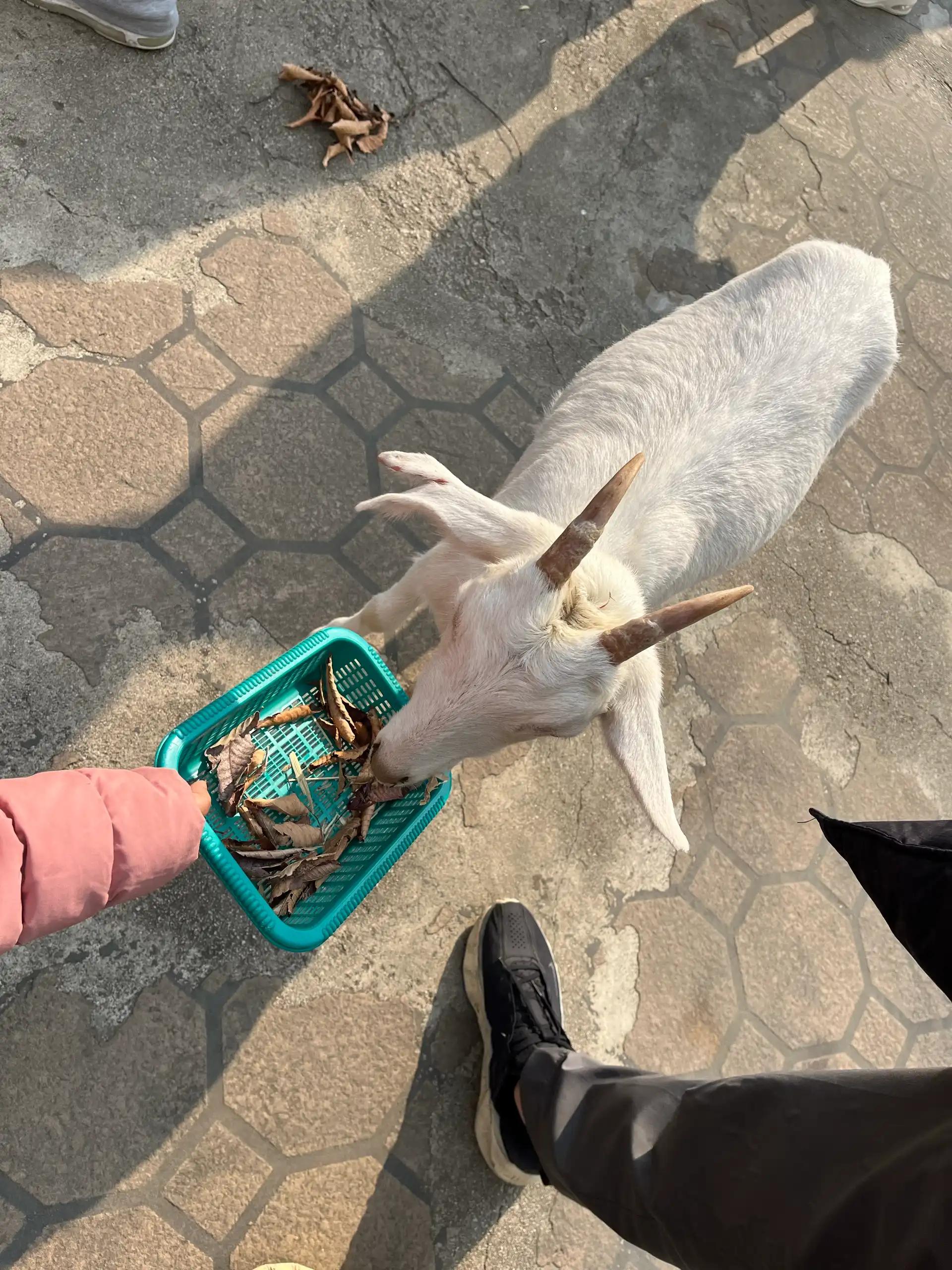 크루톡 이미지 4