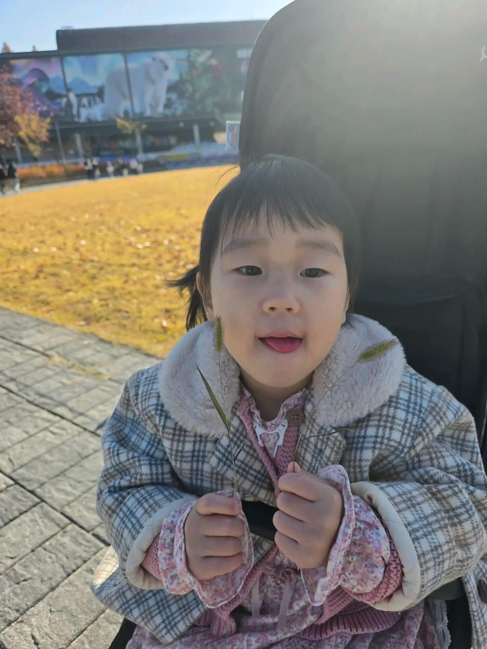 크루톡 이미지 5