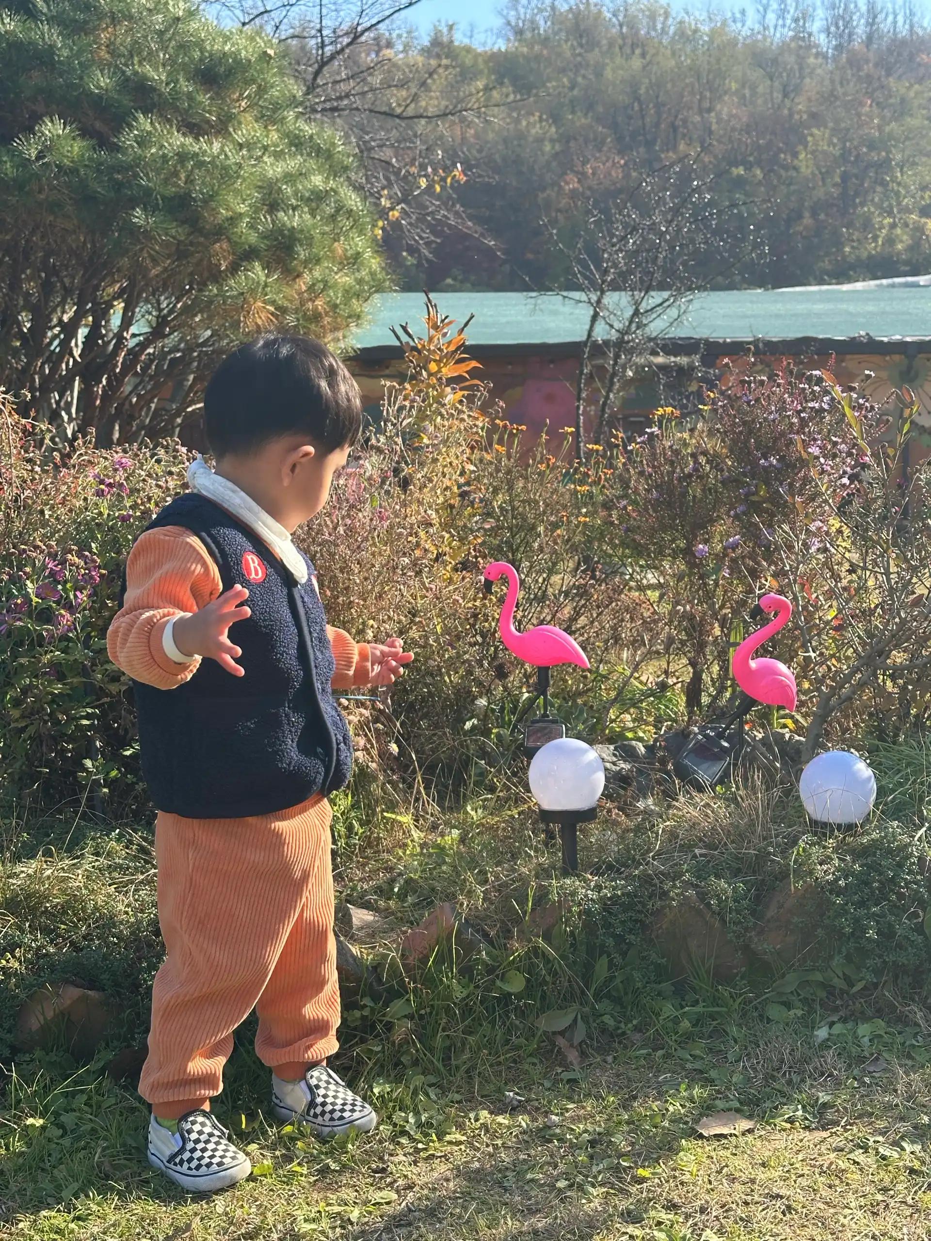 크루톡 이미지 2